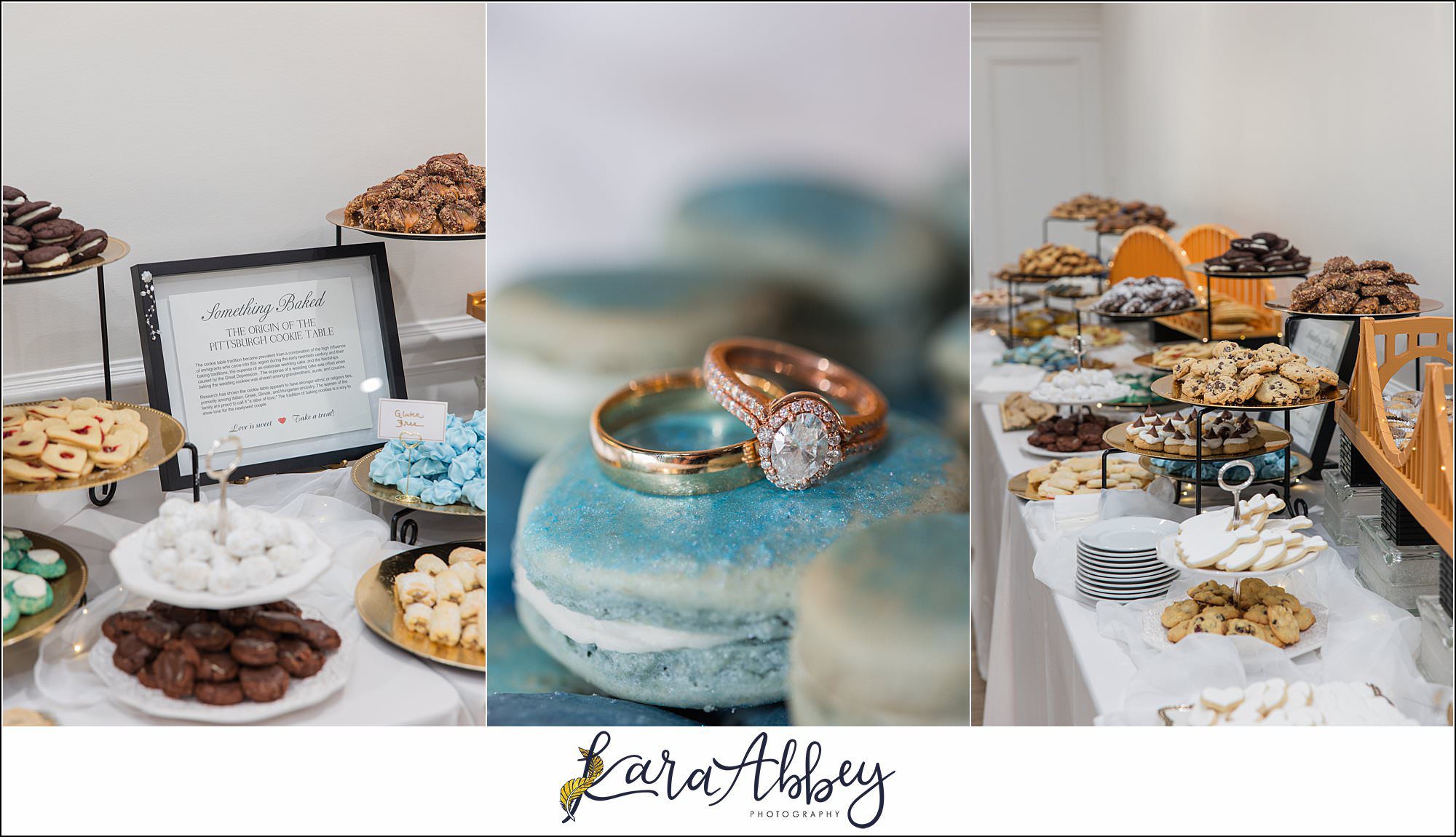 Summer Wedding at Twelve Oaks Mansion in Mars, PA
