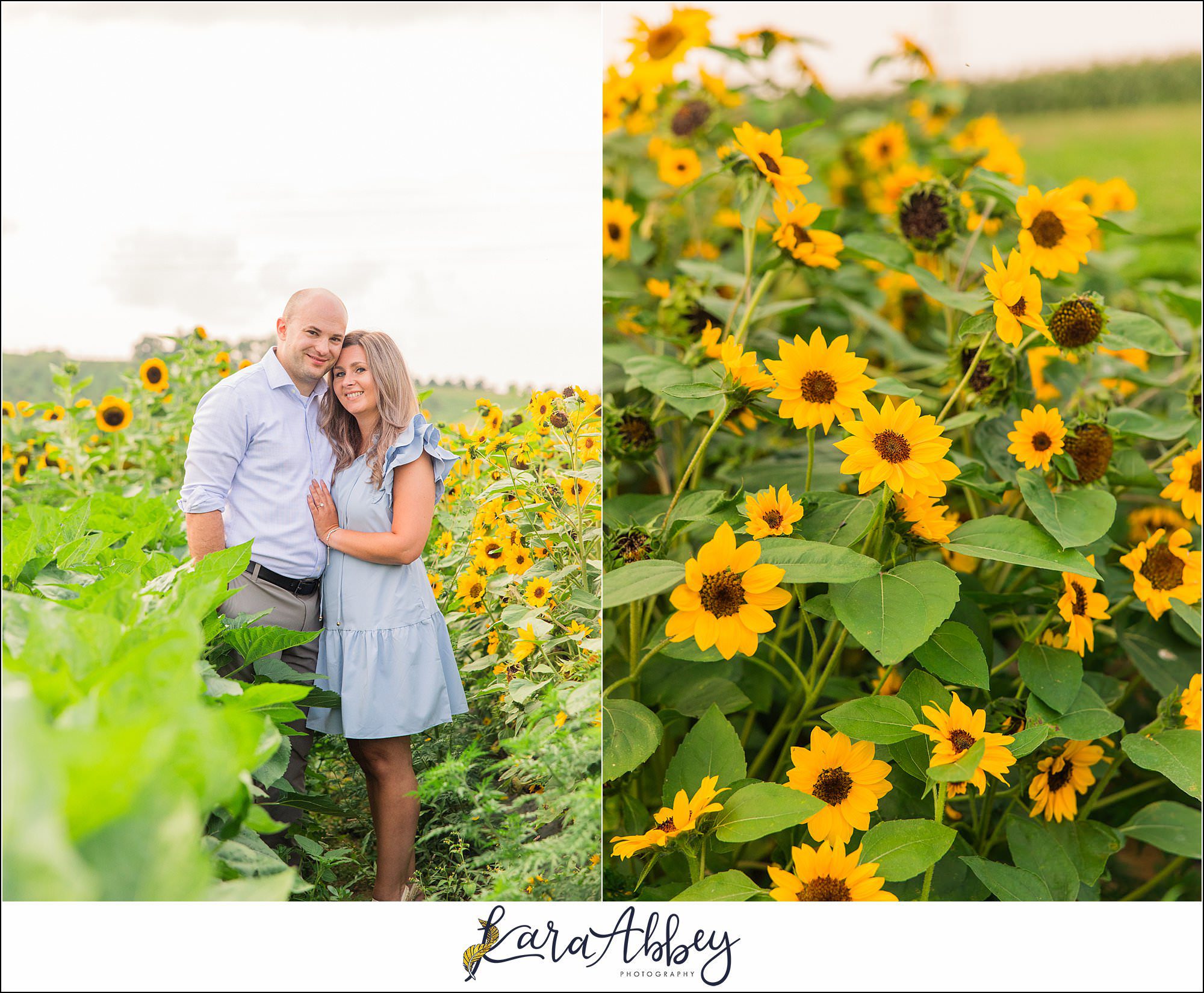 Wildflower Fields Engagement Session at Simmons Farm in McMurray, PA