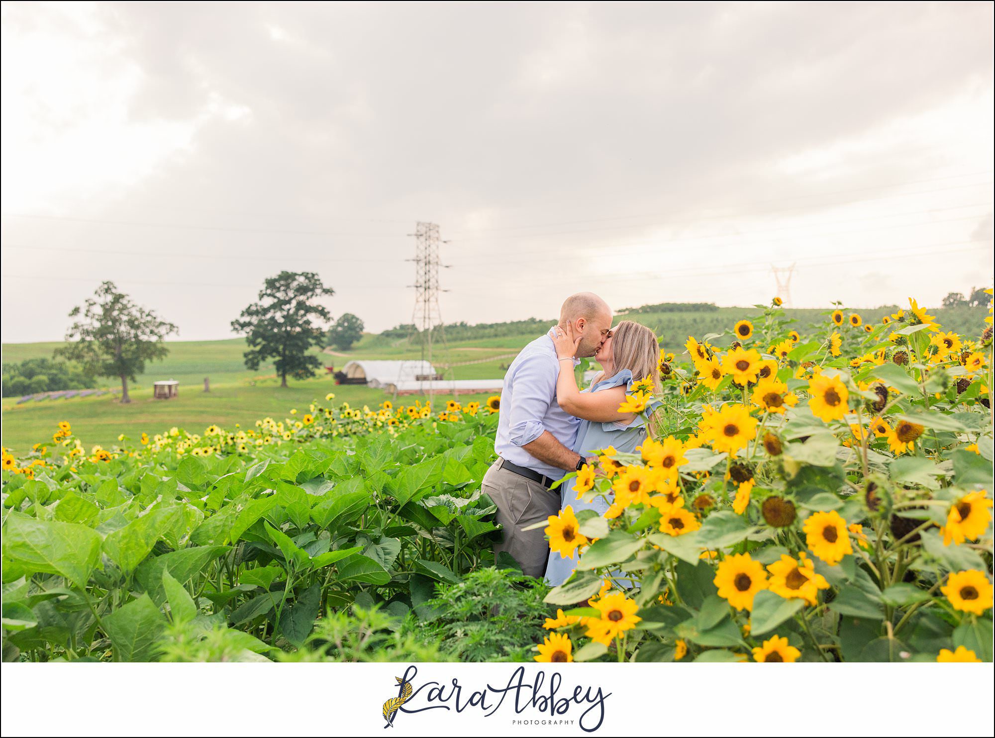 Wildflower Fields Engagement Session at Simmons Farm in McMurray, PA