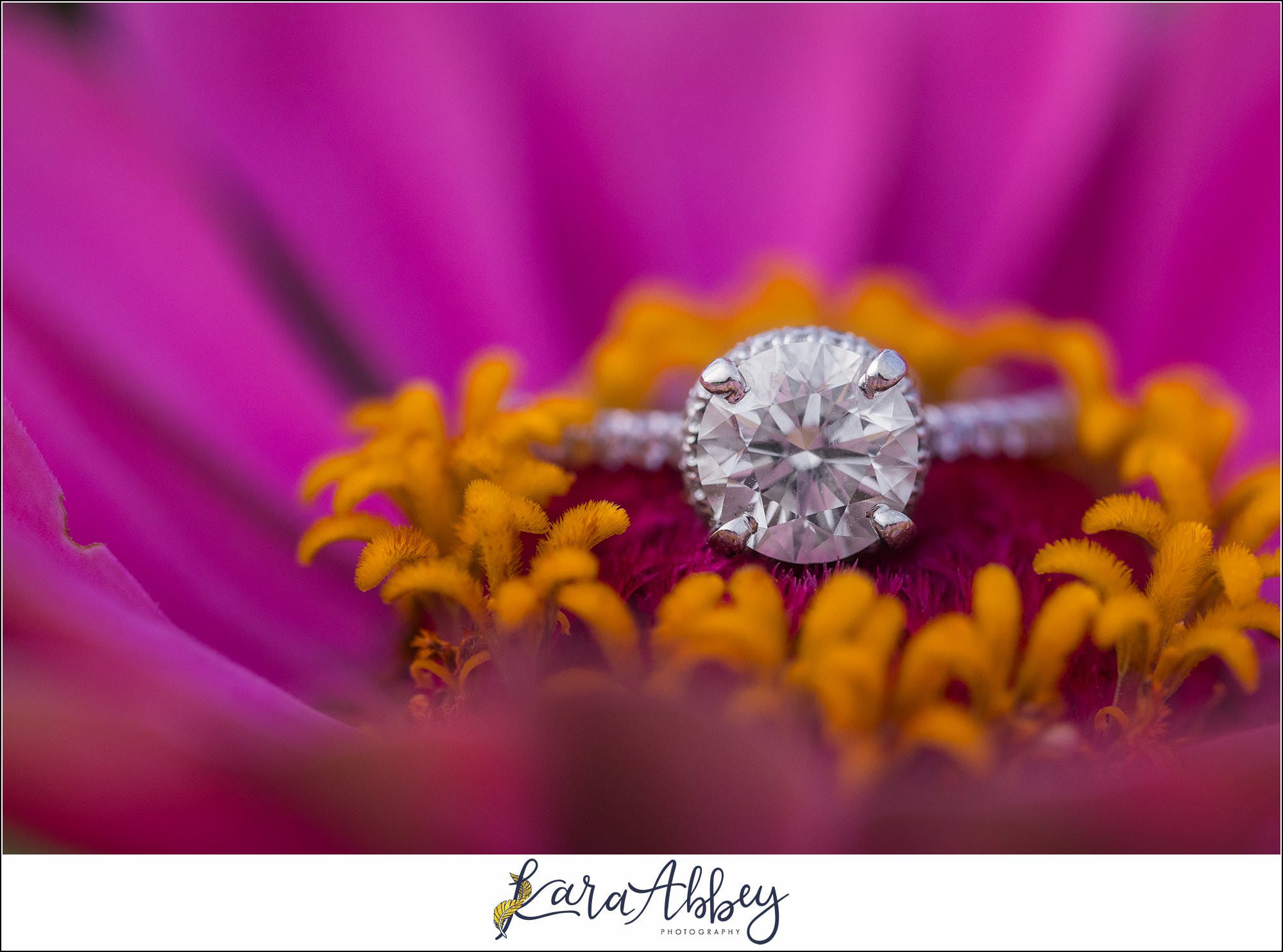 Wildflower Fields Engagement Session at Simmons Farm in McMurray, PA