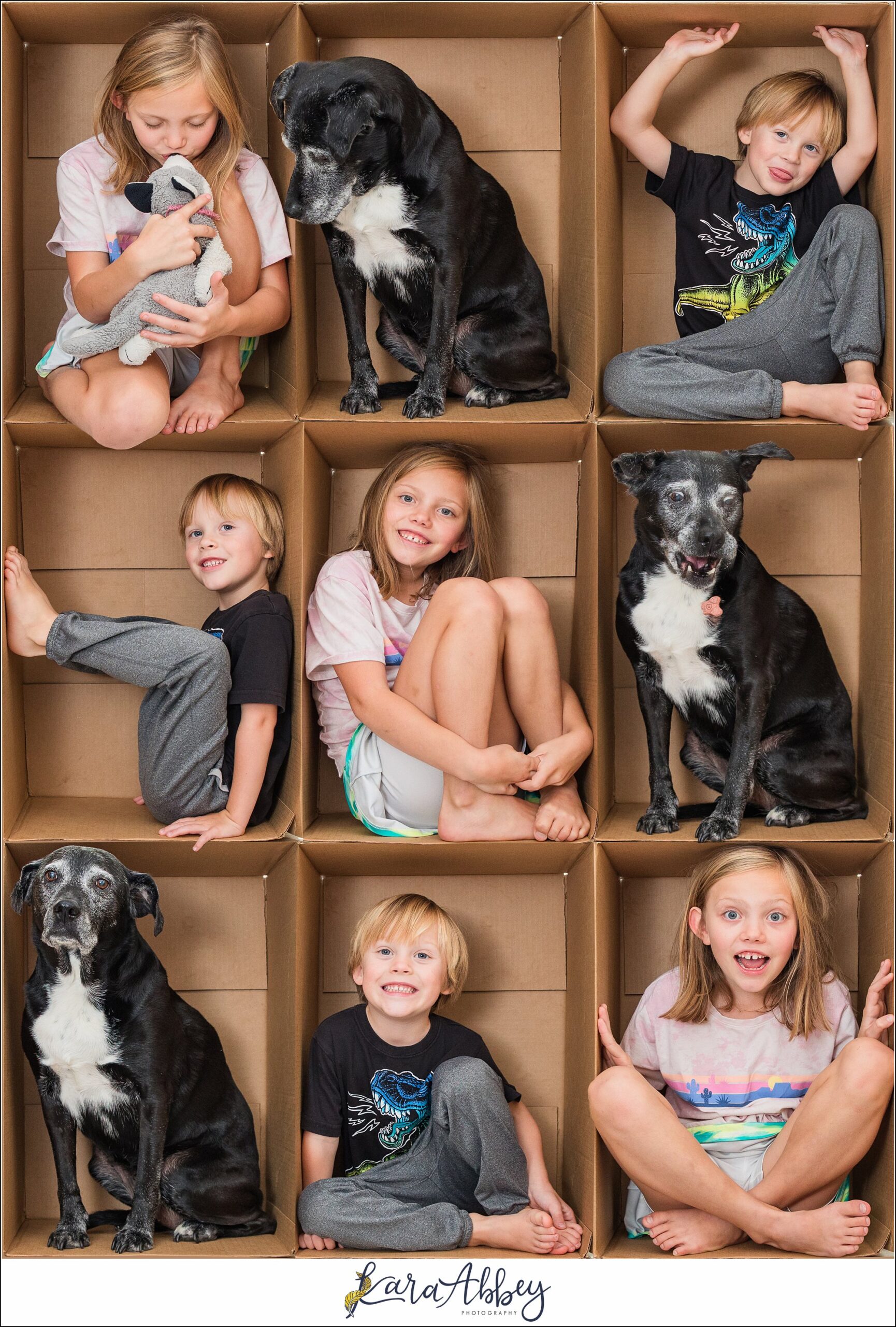 Abbys Saturday Box Grid Collage of Kids and Dog in Irwin PA