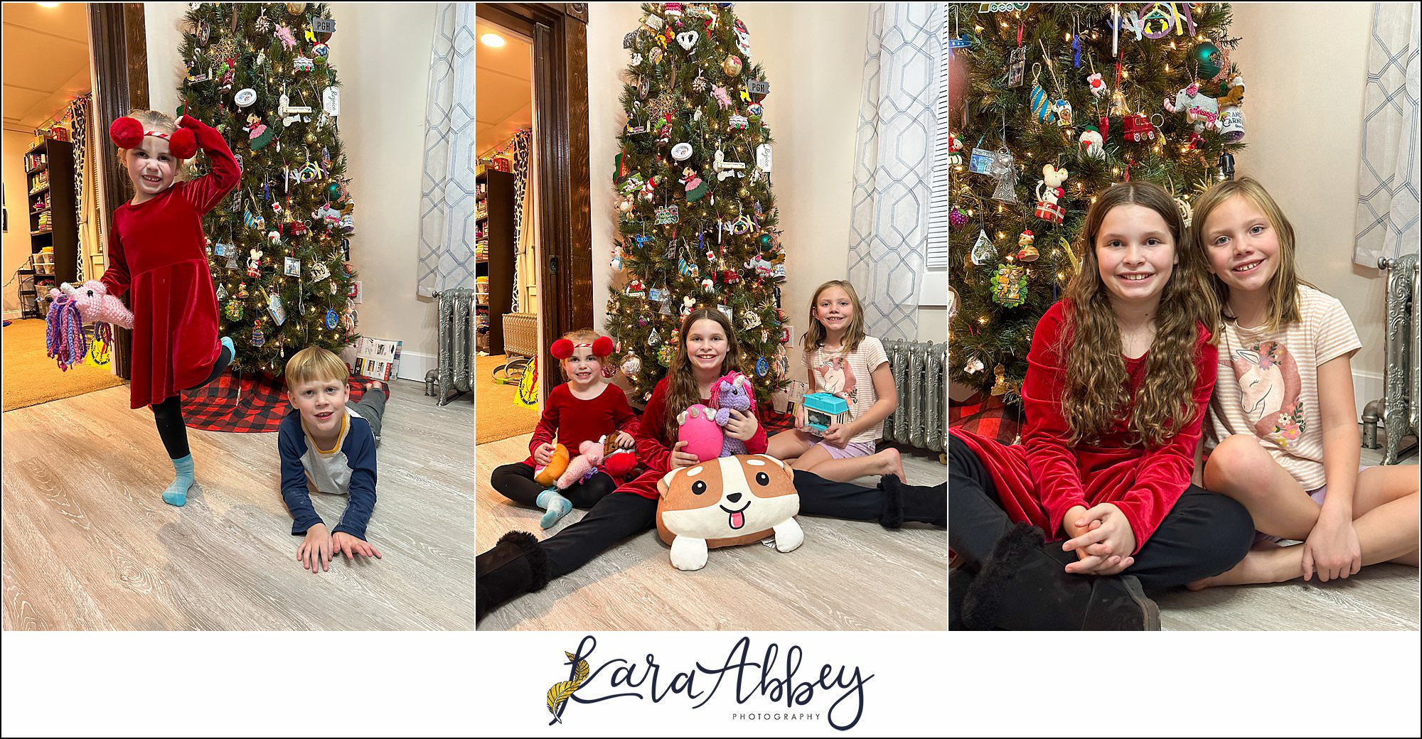 Our Christmas Overview in Irwin PA