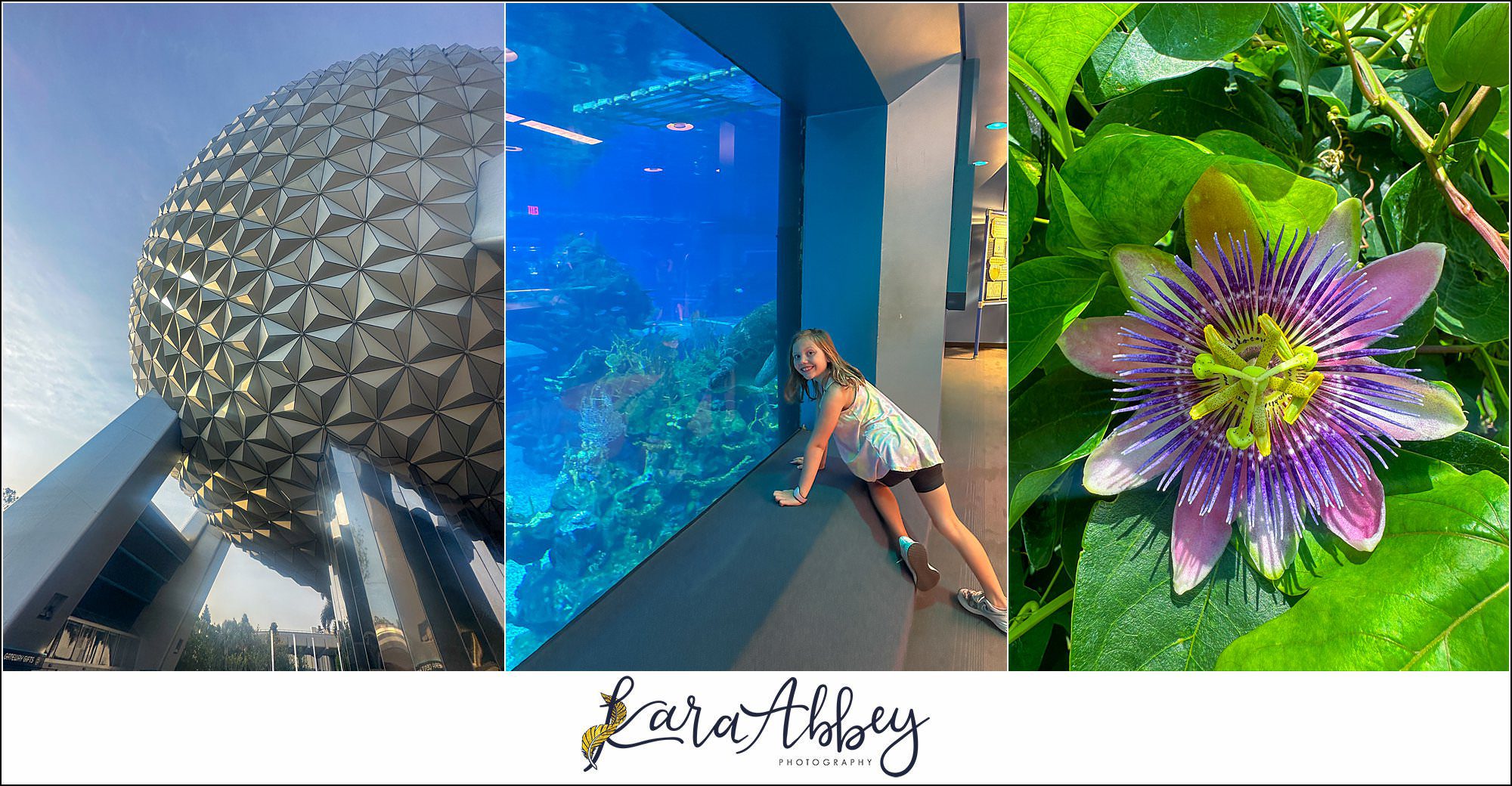 Going to Epcot at Walt Disney World The Adventuring Abbeys Family Vlog