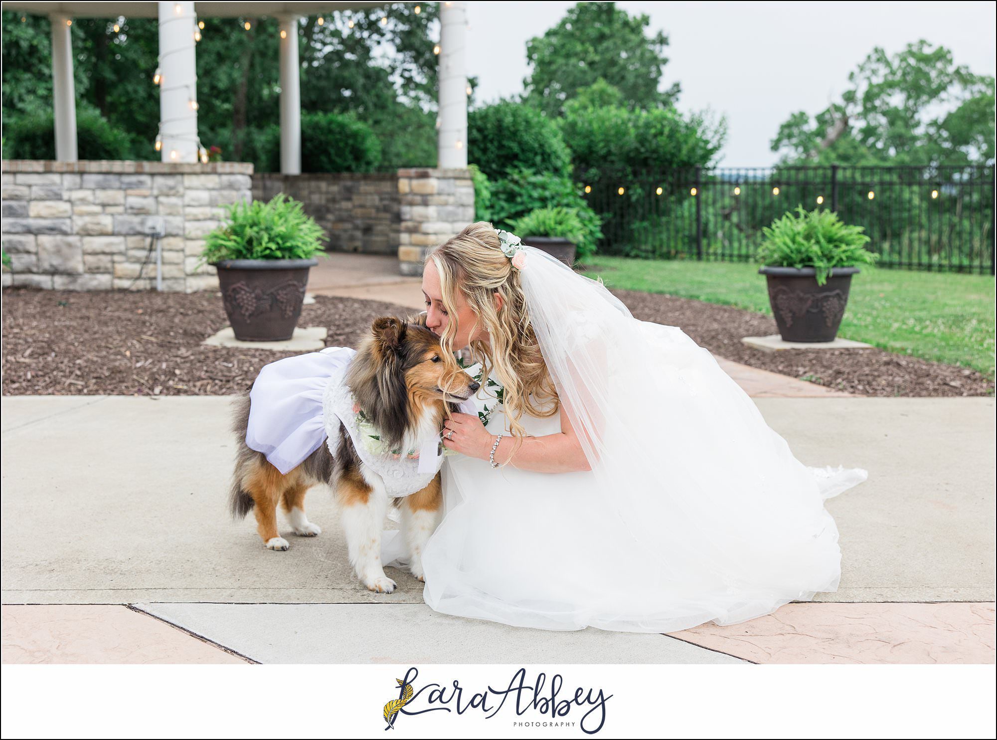 Amazing Wedding Photography by Irwin PA Photographer
