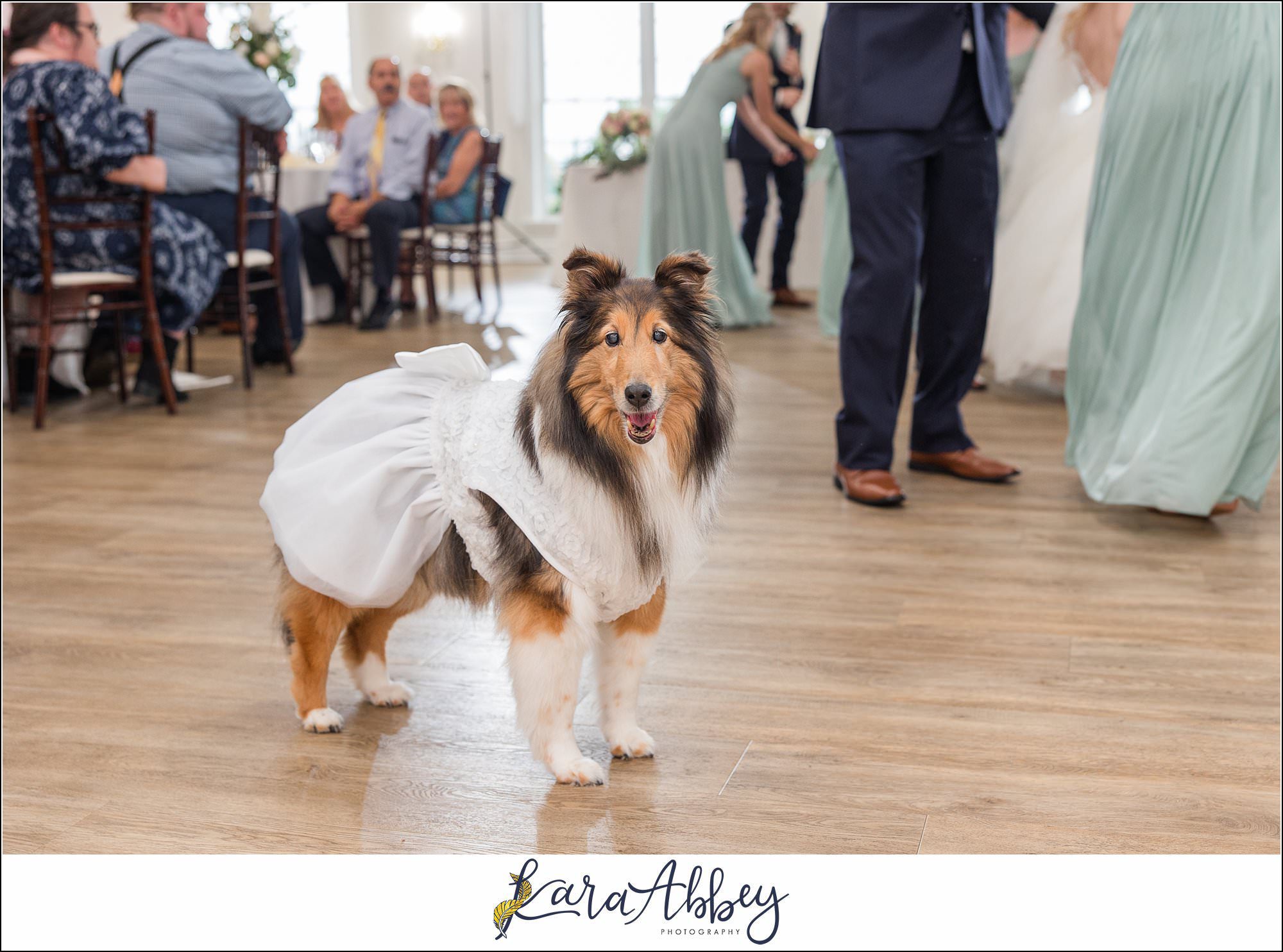 Amazing Wedding Photography by Irwin PA Photographer