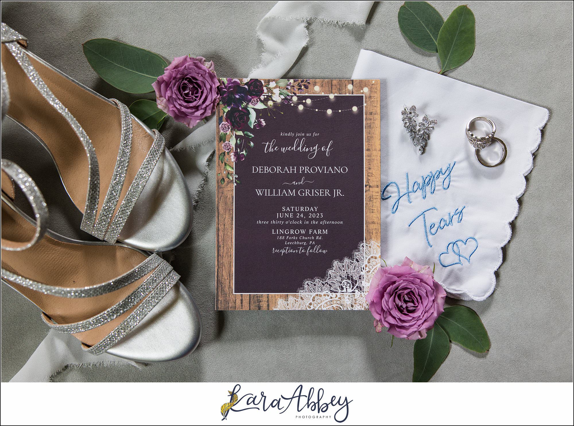 Amazing Wedding Photography by Irwin PA Photographer