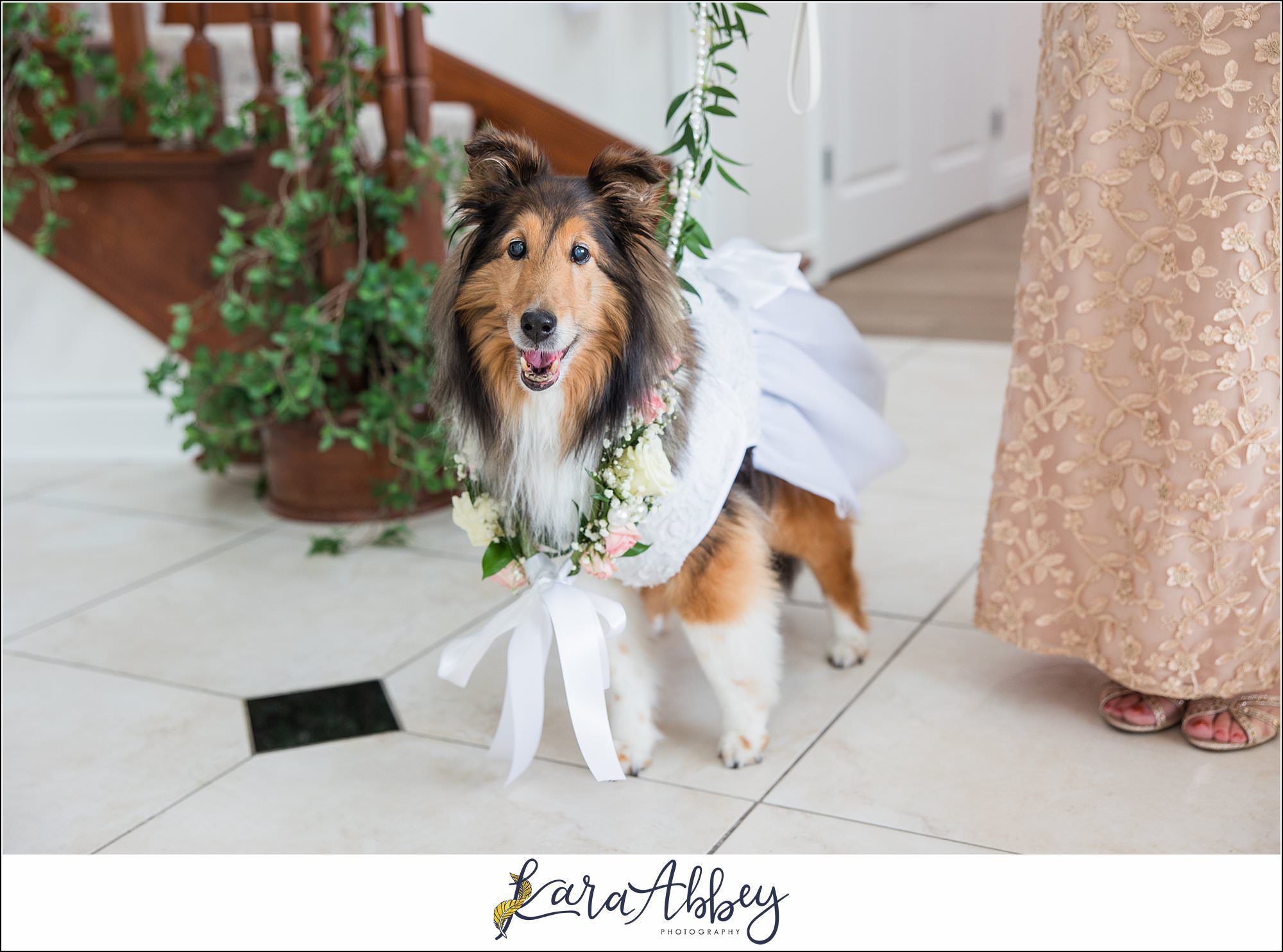 Amazing Wedding Photography by Irwin PA Photographer