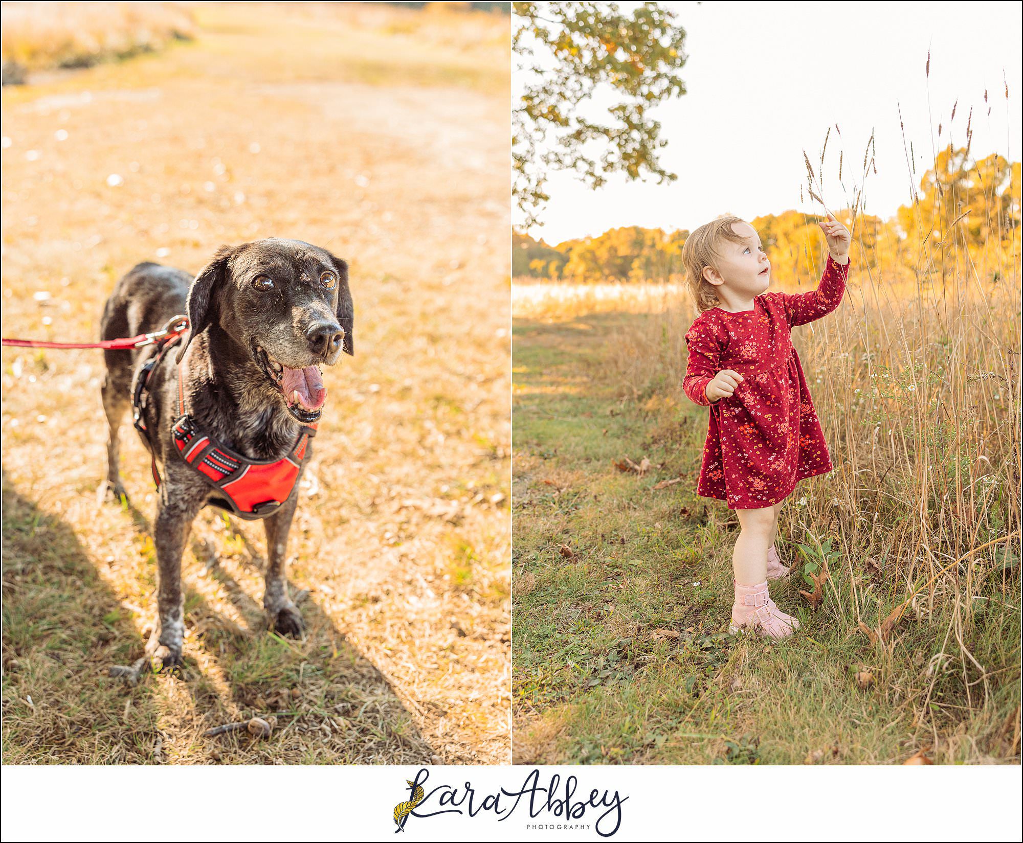 Amazing Portrait Photography by Irwin PA Wedding Photographer