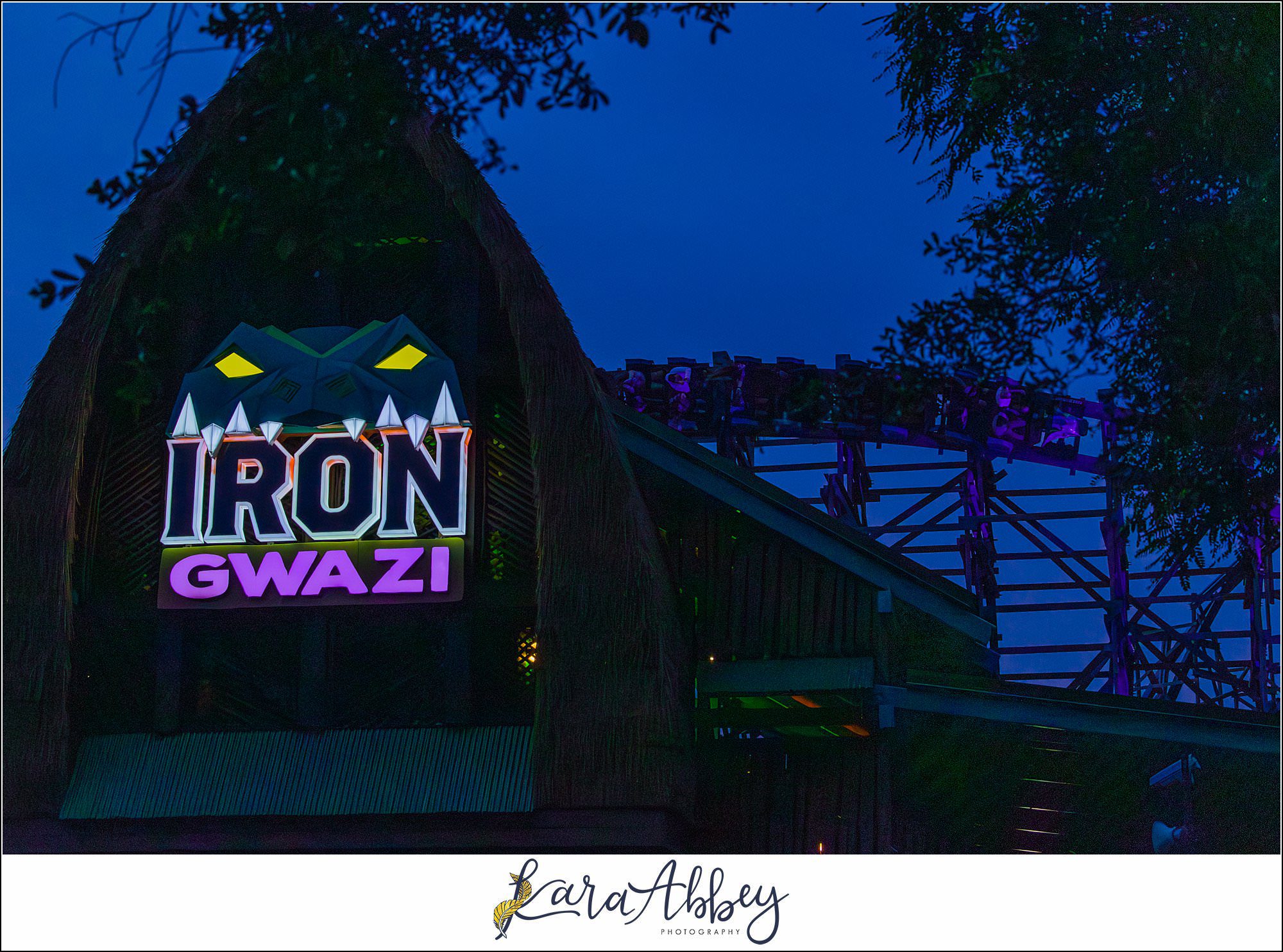 2023 Favorites Roller Coaster Photography Busch Gardens Tampa