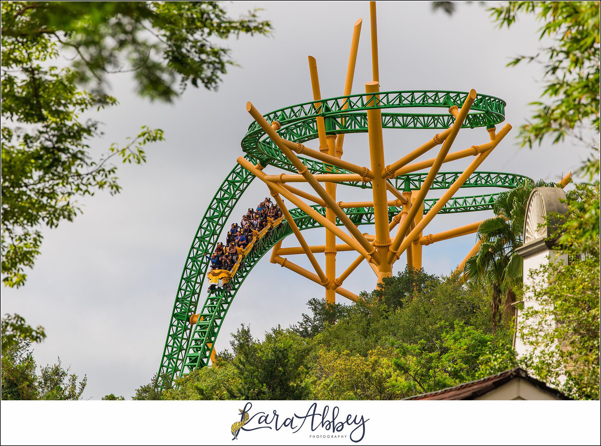 2023 Favorites Roller Coaster Photography Busch Gardens Tampa