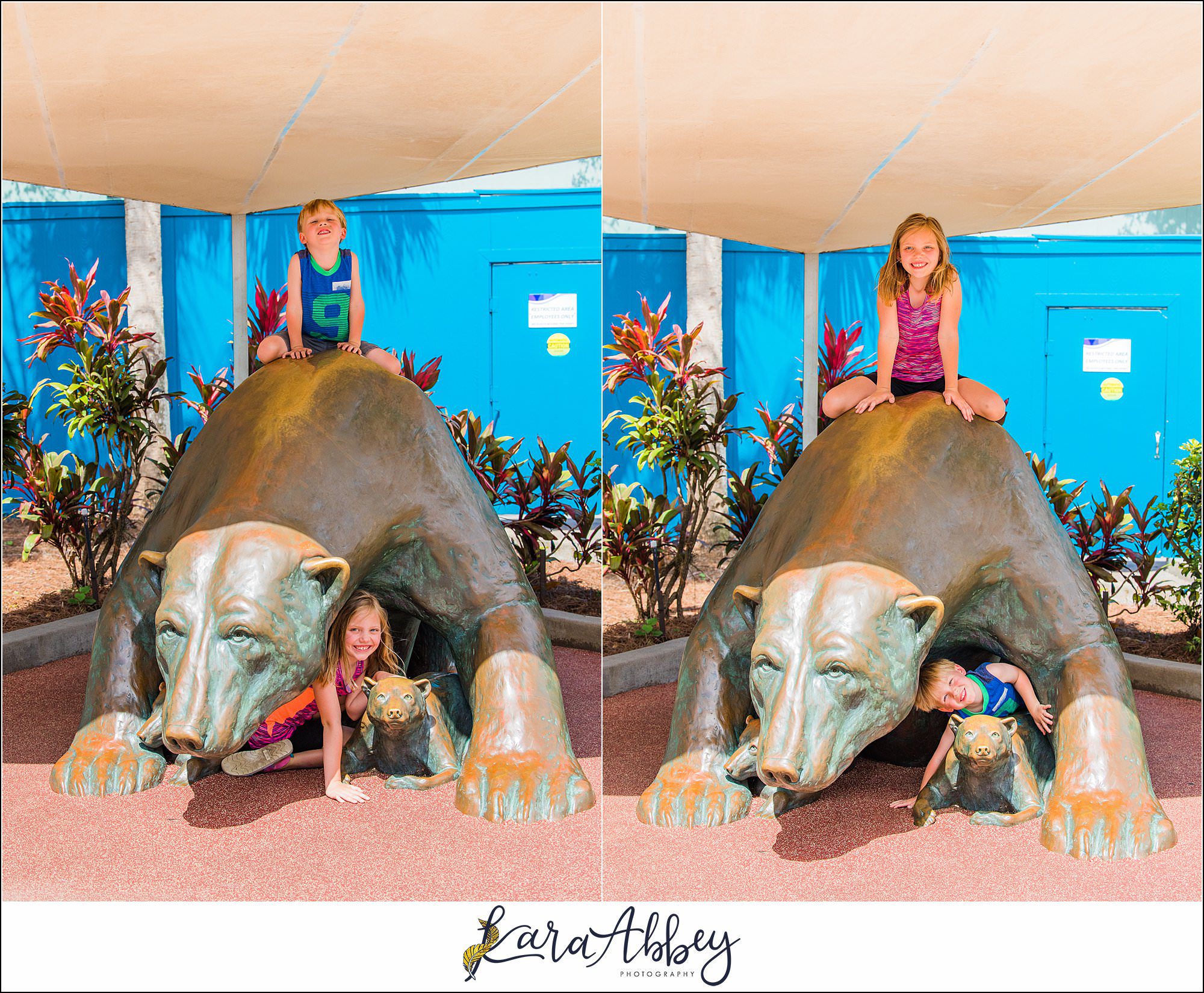 The Adventuring Abbeys go to Sea World Orlando in FL