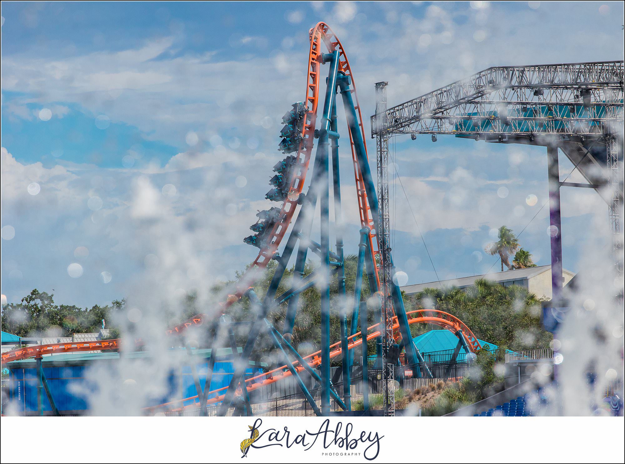 The Adventuring Abbeys go to Sea World Orlando in FL
