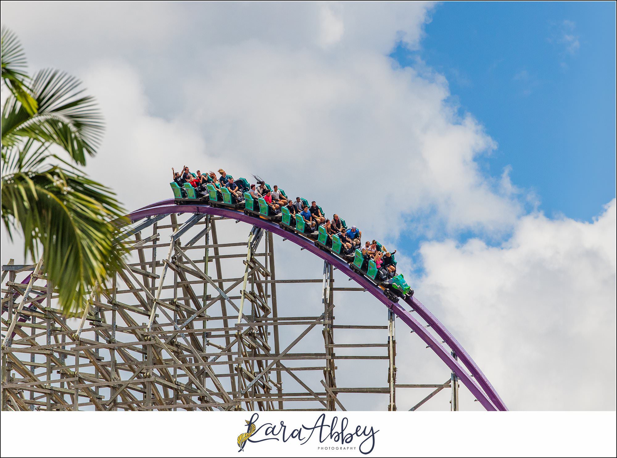 The Adventuring Abbeys go to Busch Gardens Tampa Bay in FL