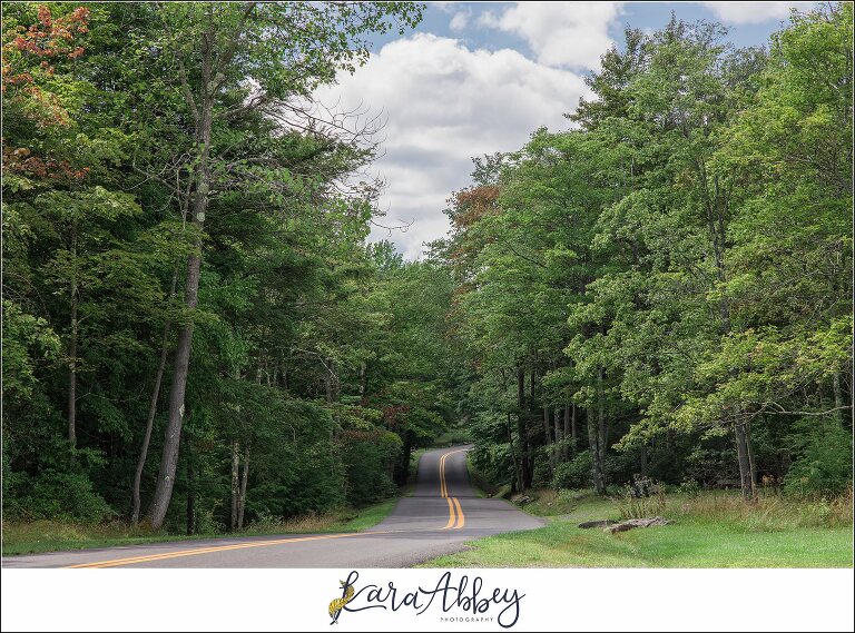 Summer Vow Renewal Wedding Celebration at Black Water Falls State Park in Davis WV