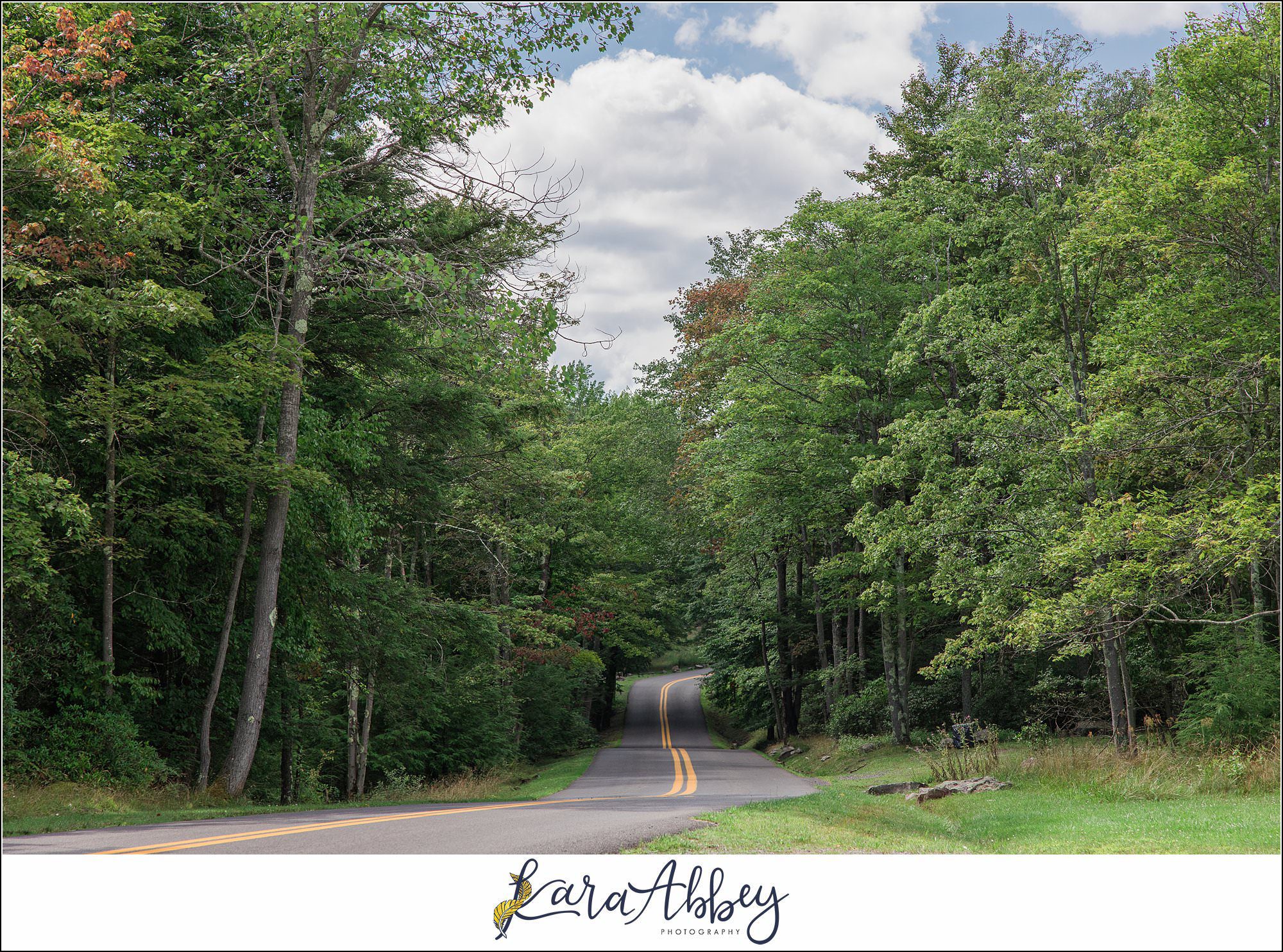 Summer Vow Renewal Wedding Celebration at Black Water Falls State Park in Davis WV