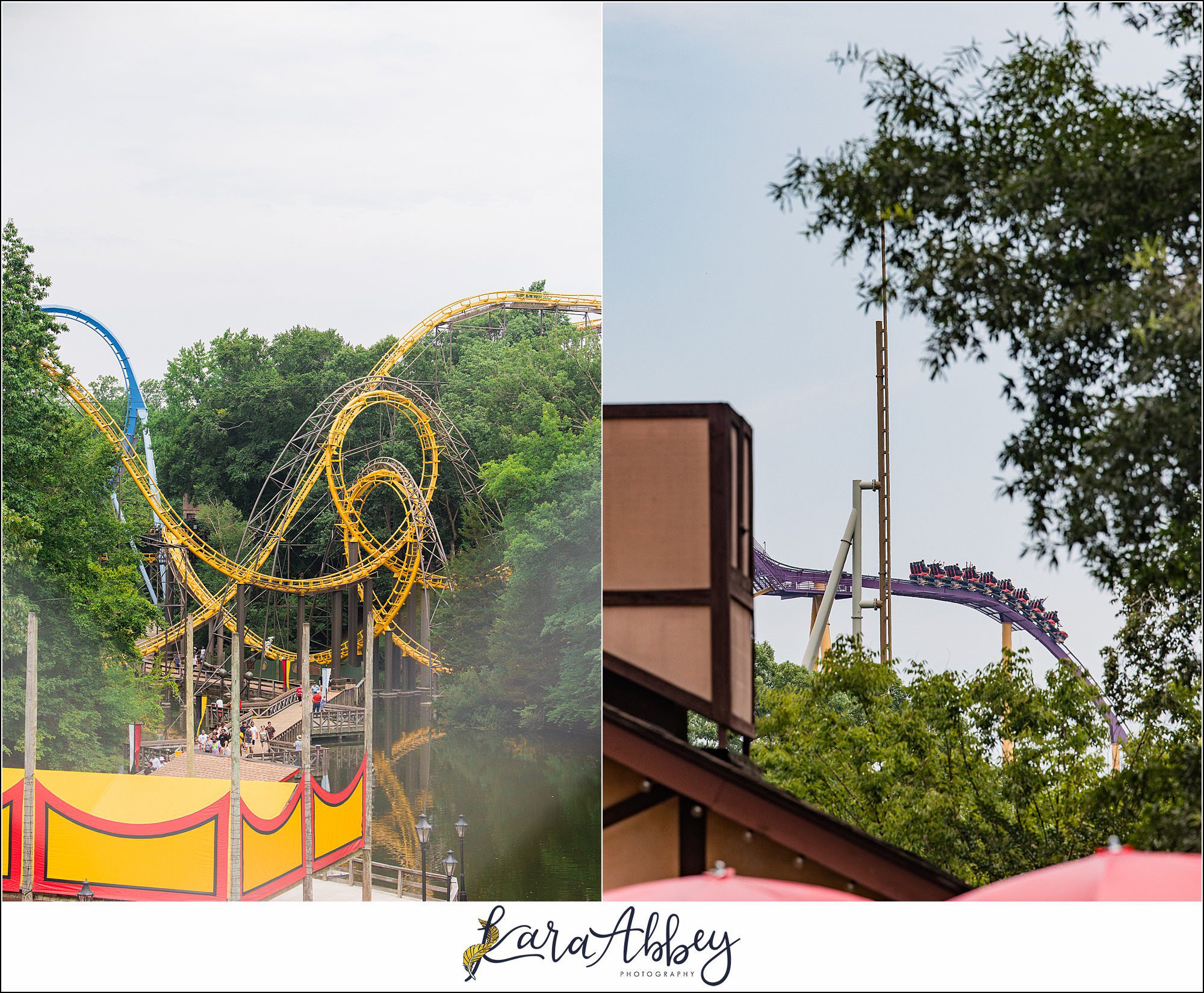 The Adventuring Abbeys go to Busch Gardens Williamsburg