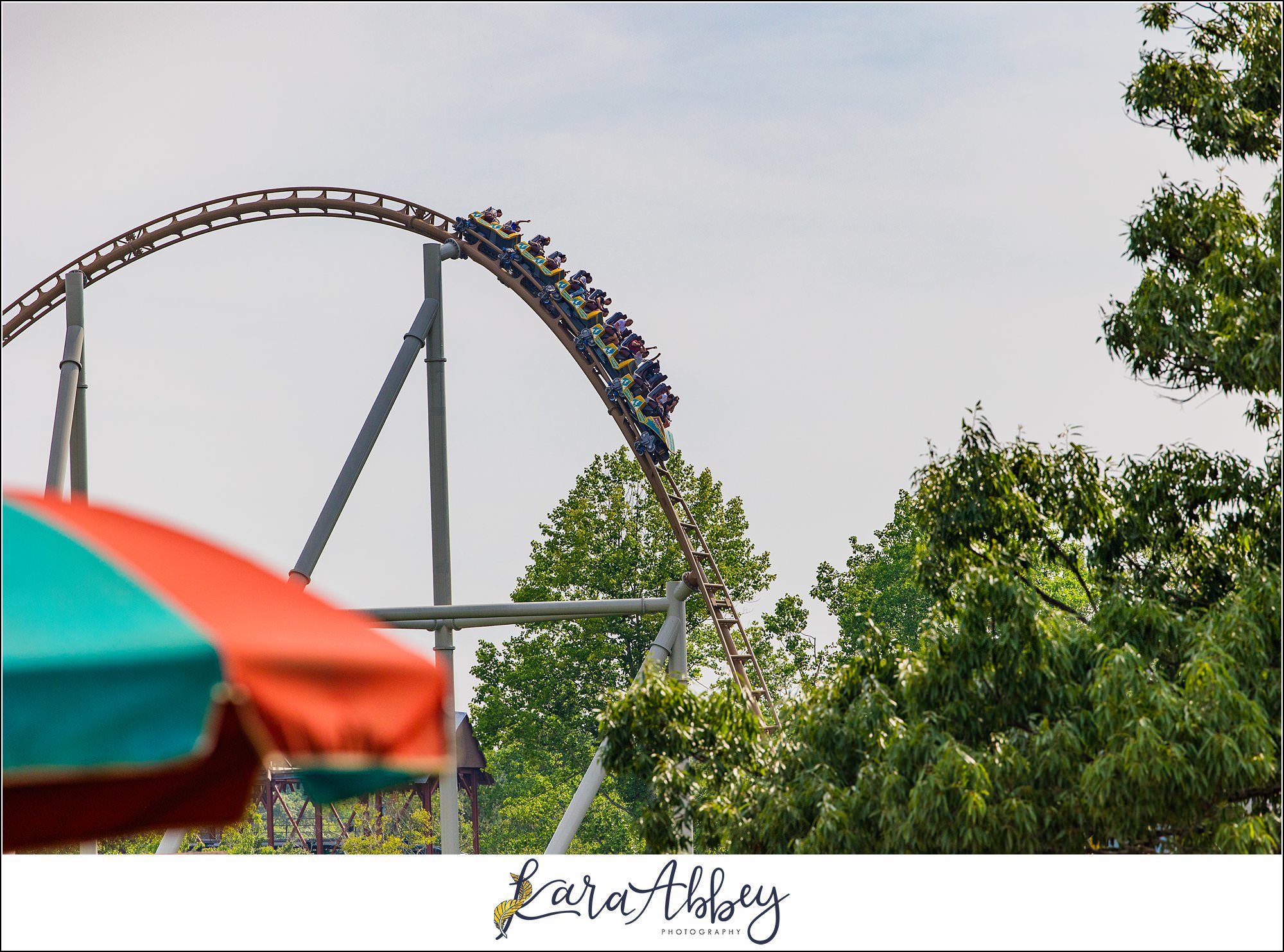 The Adventuring Abbeys go to Busch Gardens Williamsburg