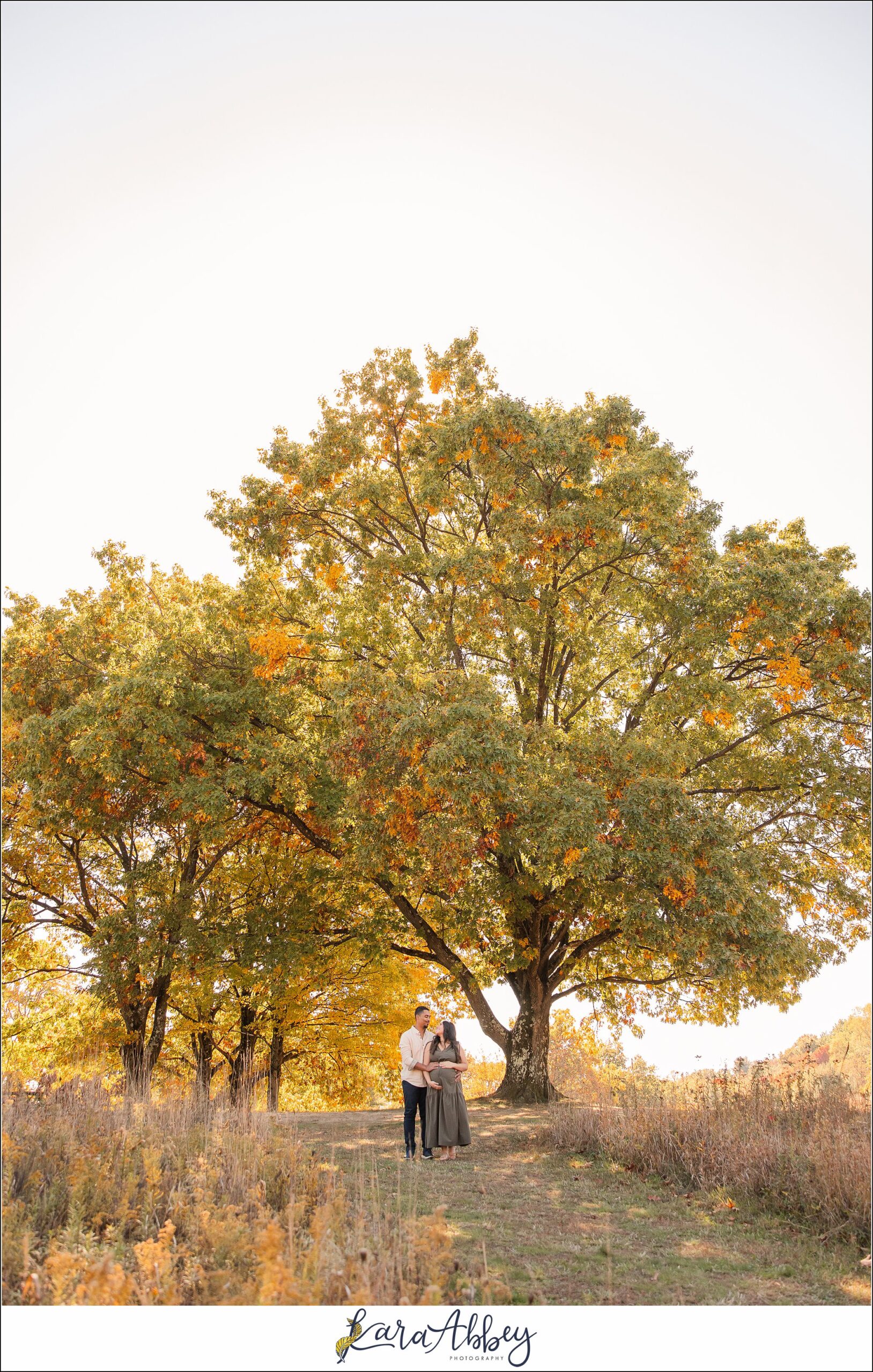 Fall Maternity Portraits at White Oak Park in Irwin, PA