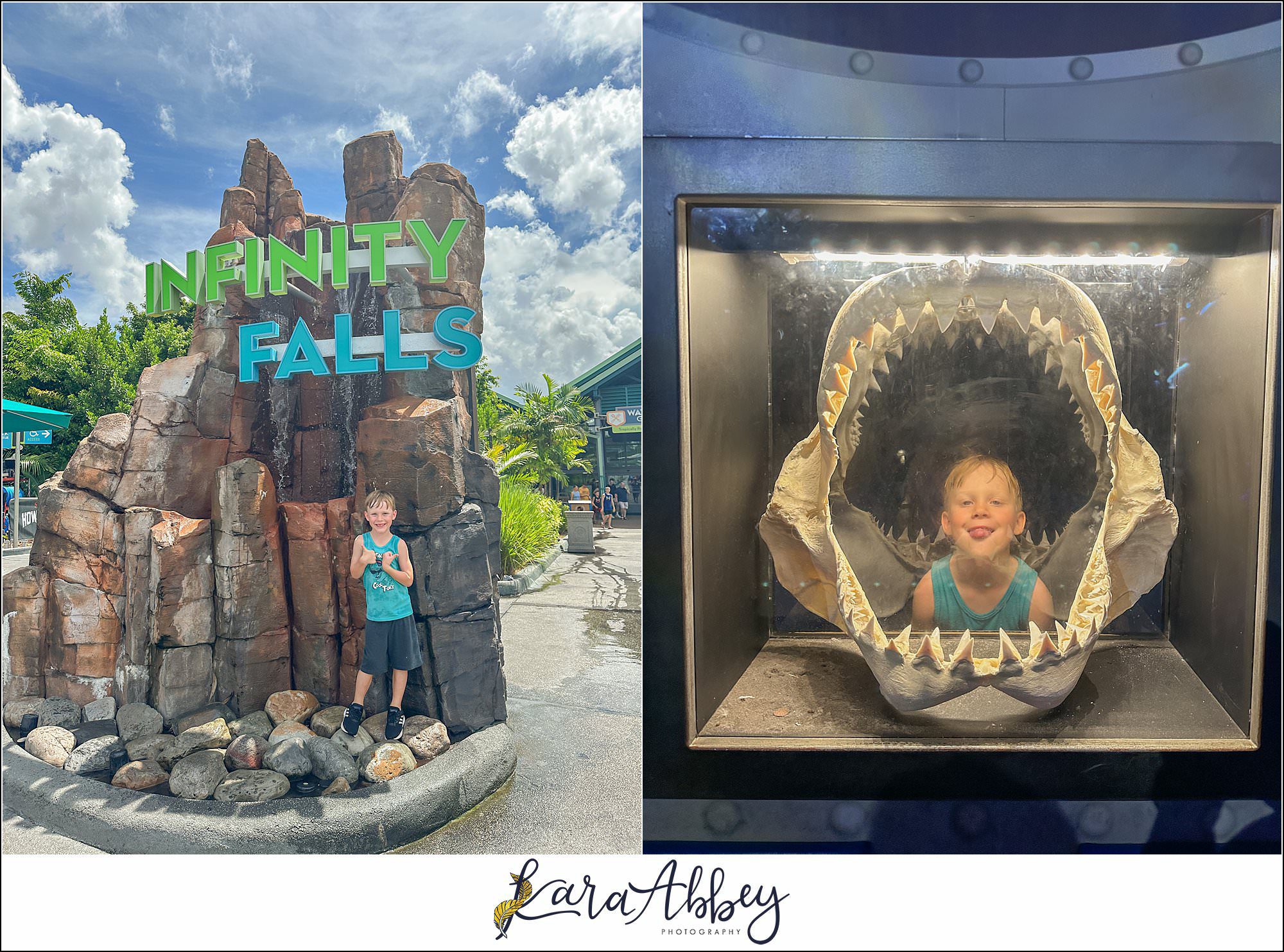 The Adventuring Abbeys go to Sea World Orlando