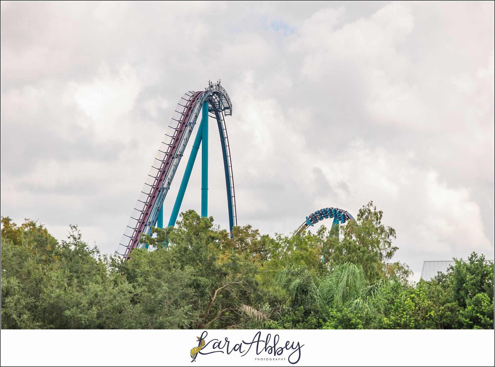 The Adventuring Abbeys go to Sea World Orlando