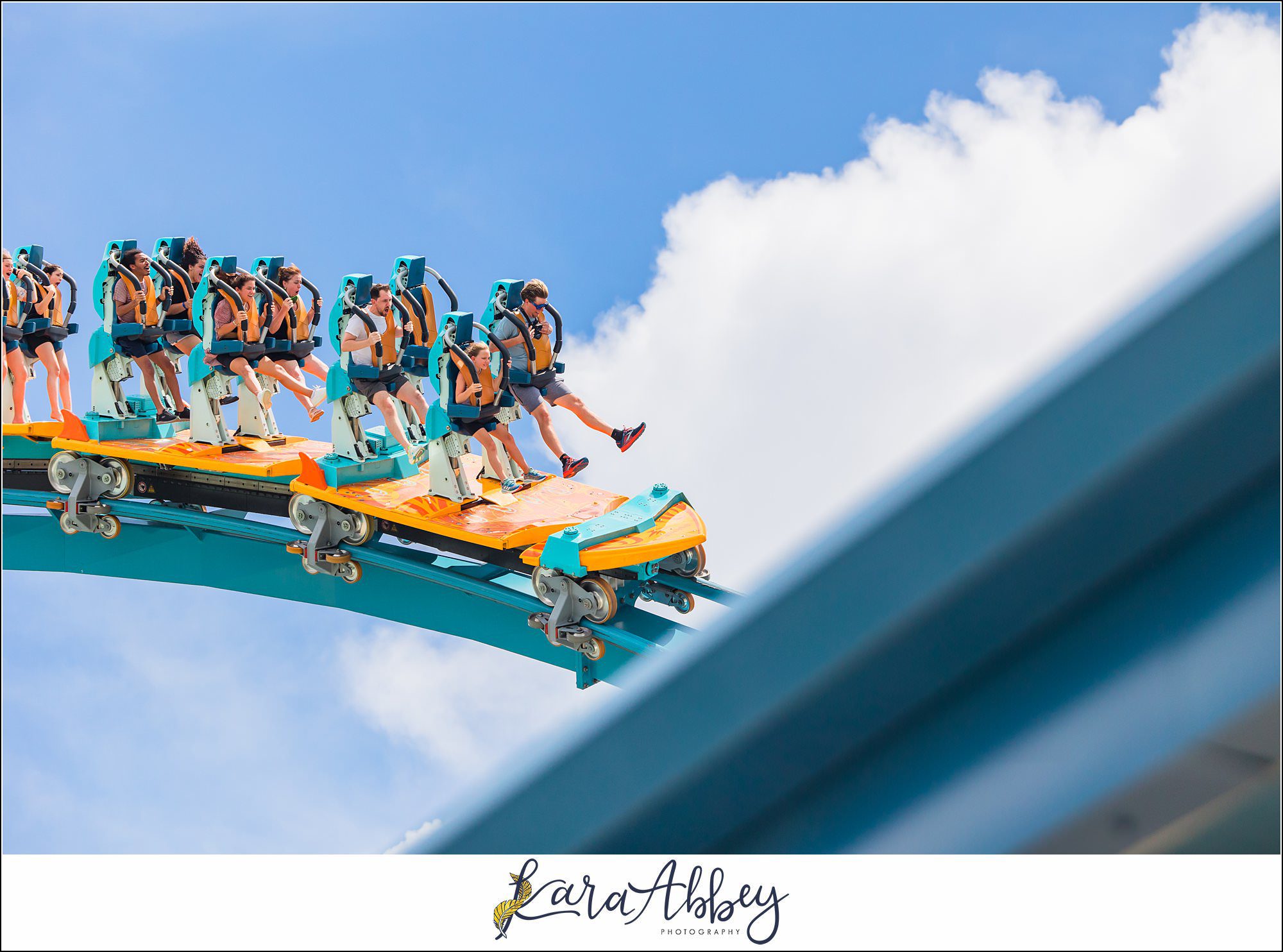 The Adventuring Abbeys go to Sea World Orlando