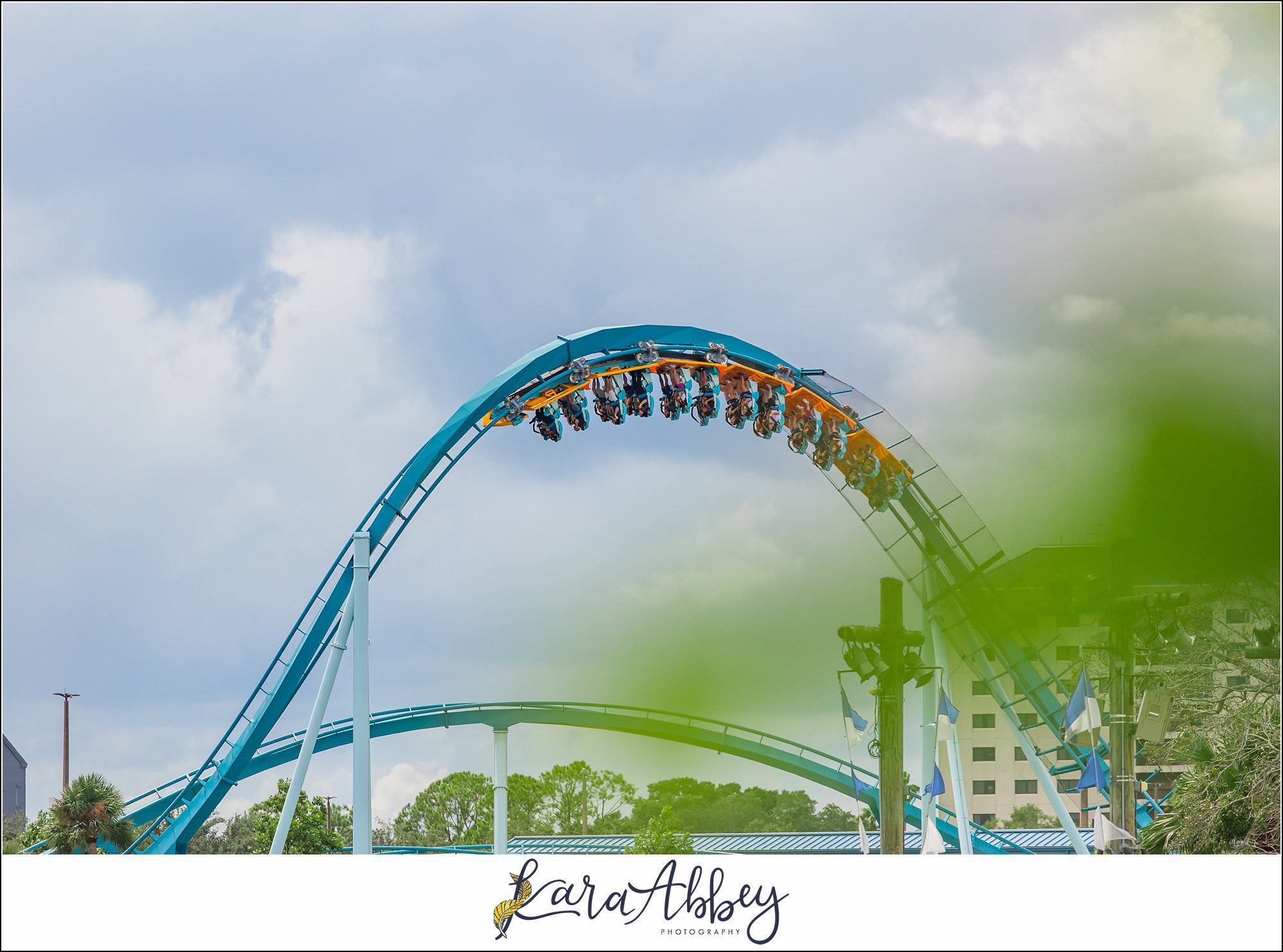The Adventuring Abbeys go to Sea World Orlando