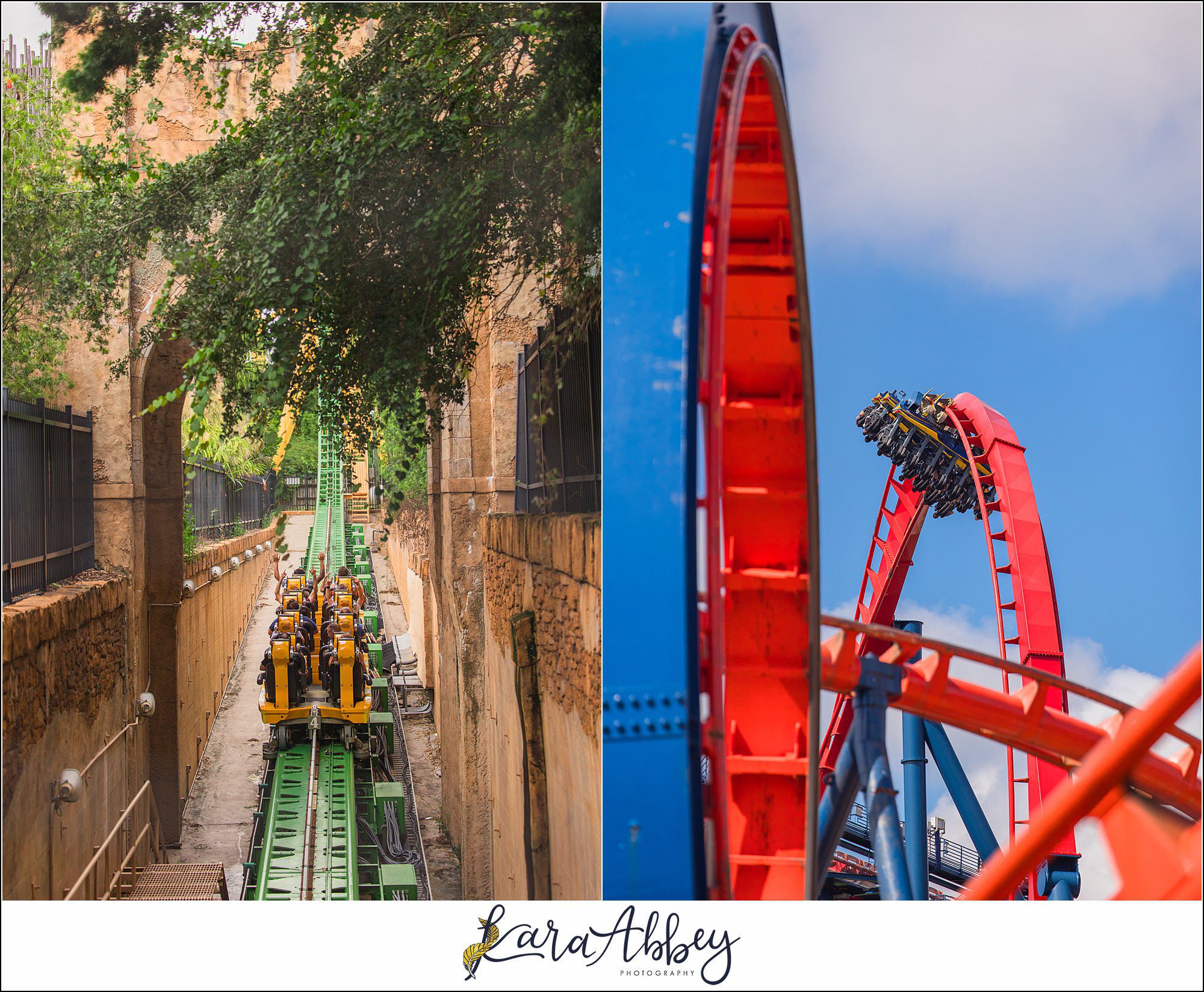 2024 Favorites Roller Coaster Photography Busch Gardens Tampa