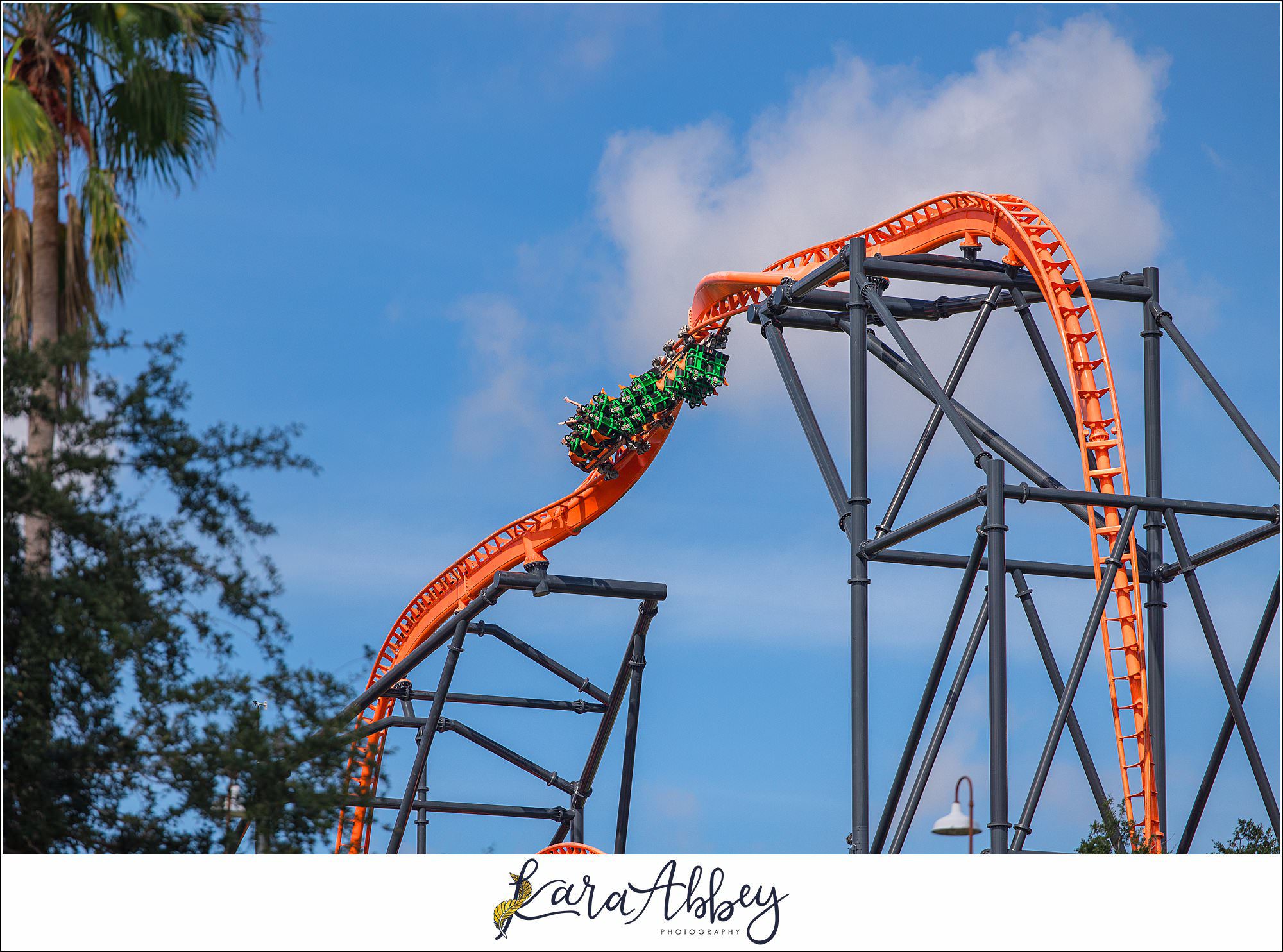 2024 Favorites Roller Coaster Photography Busch Gardens Tampa