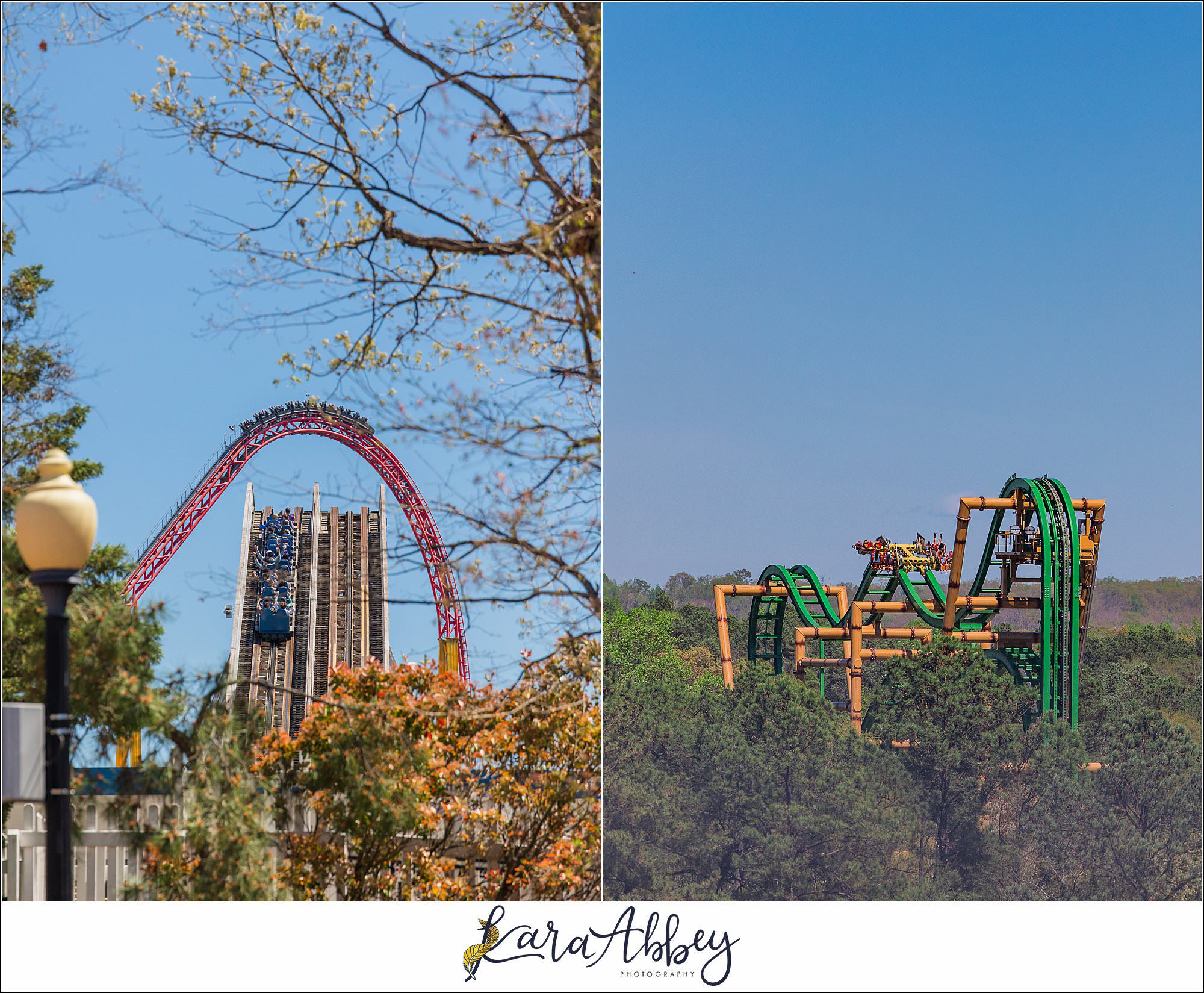 2024 Favorites Roller Coaster Photography Kings Dominion