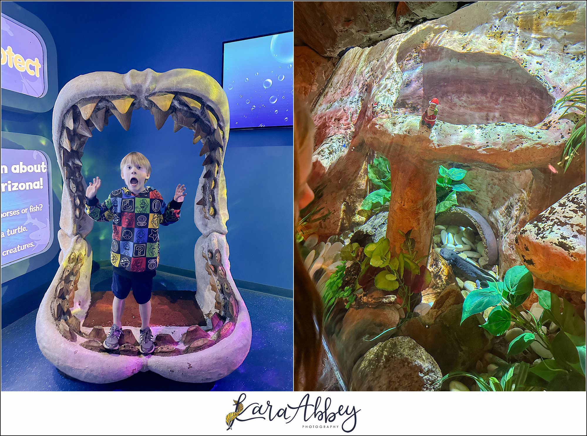 Legoland Discovery Center & SeaLife in Phoenix, AZ with the Adventuring Abbeys