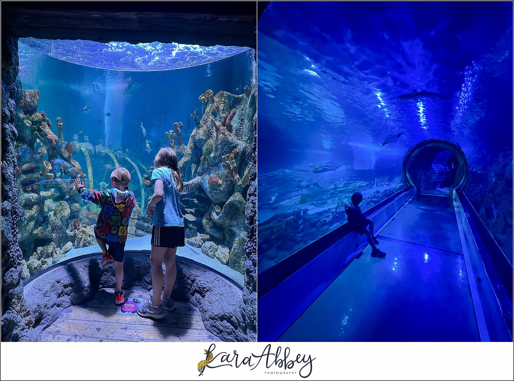 Legoland Discovery Center & SeaLife in Phoenix, AZ with the Adventuring Abbeys