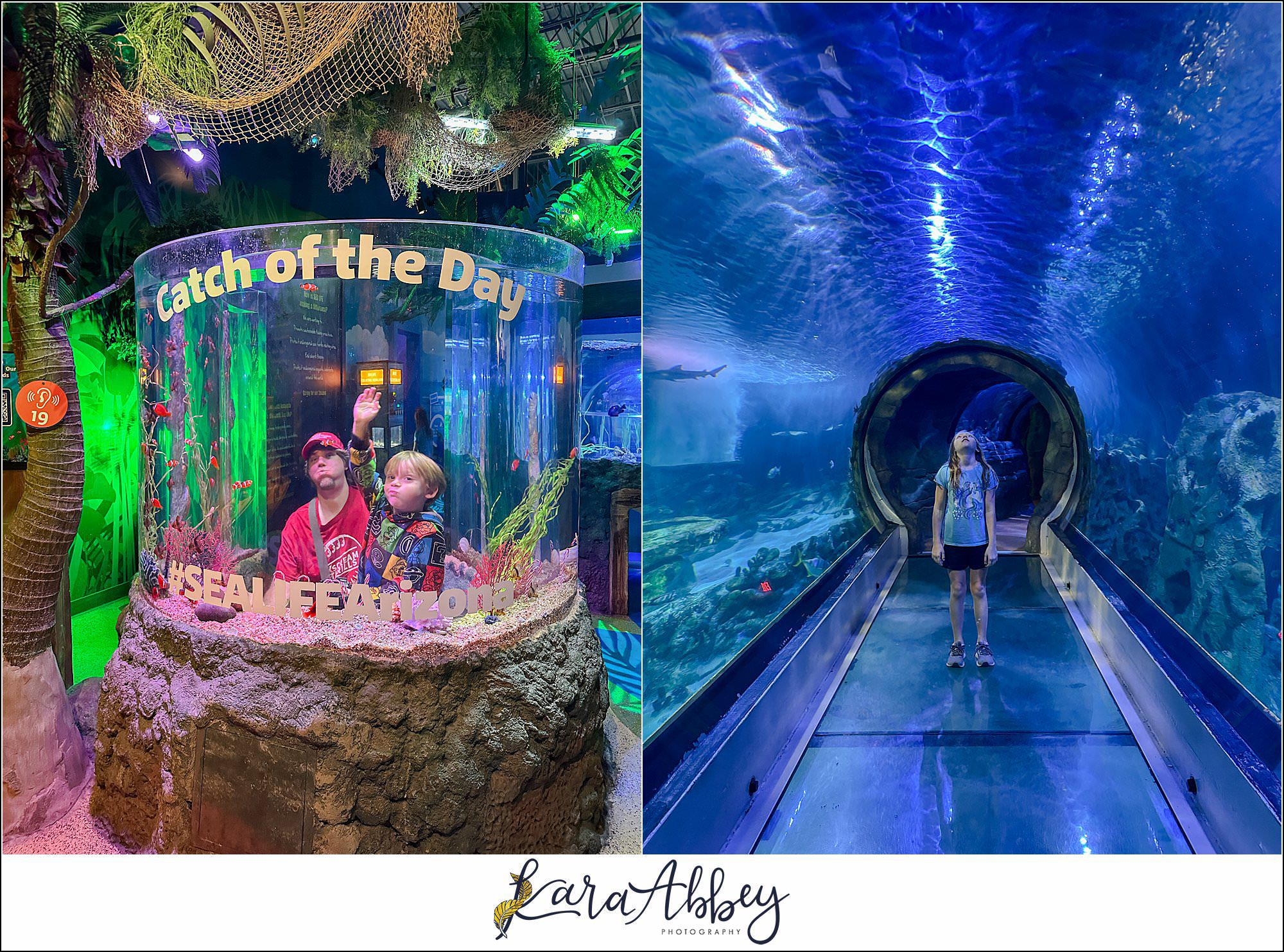 Legoland Discovery Center & SeaLife in Phoenix, AZ with the Adventuring Abbeys