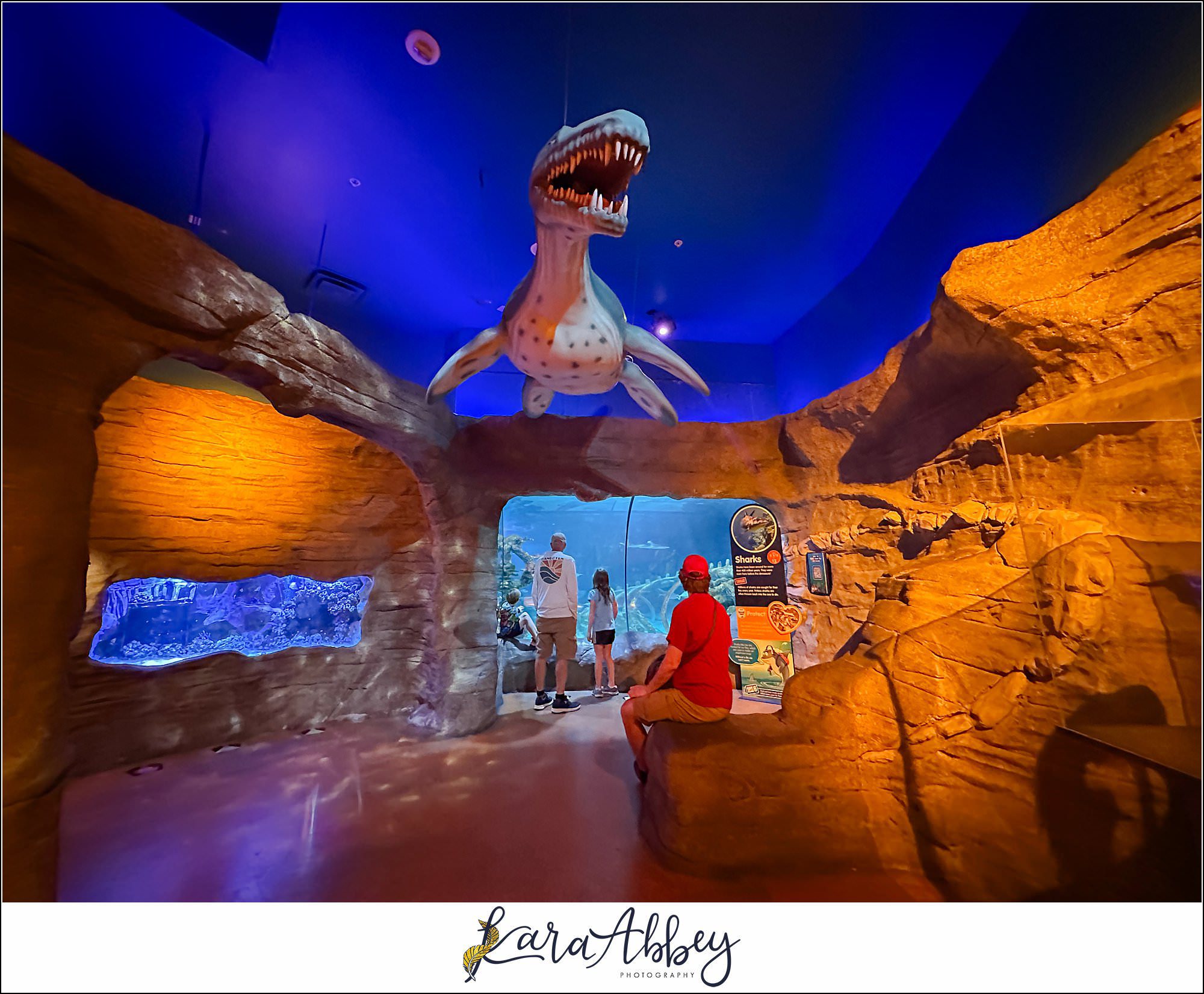 Legoland Discovery Center & SeaLife in Phoenix, AZ with the Adventuring Abbeys