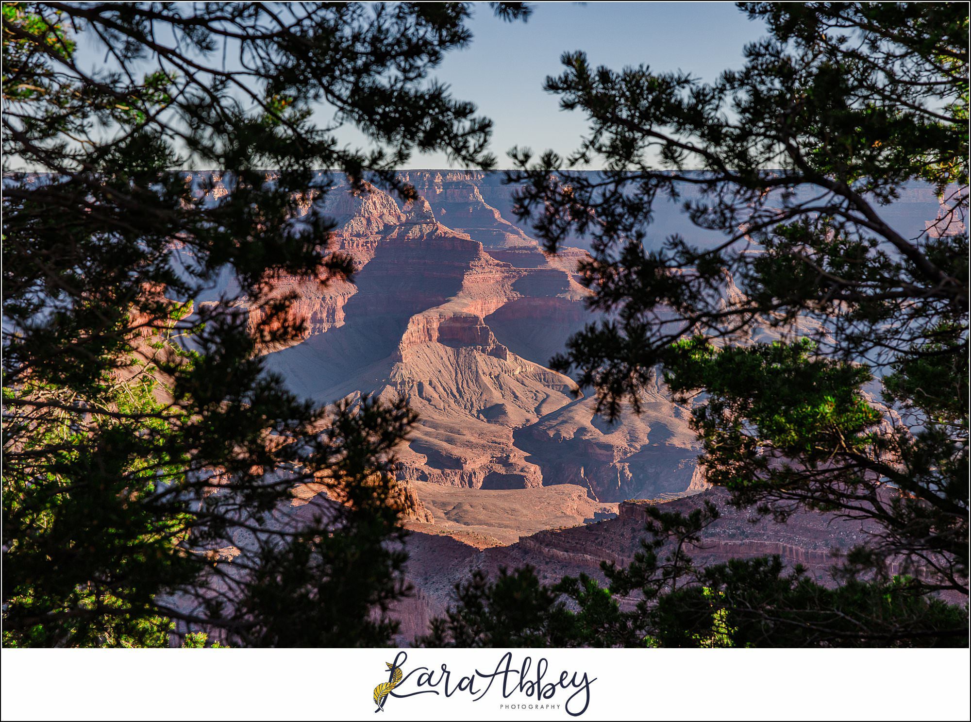 The Grand Canyon with the Adventuring Abbeys Family Vlog