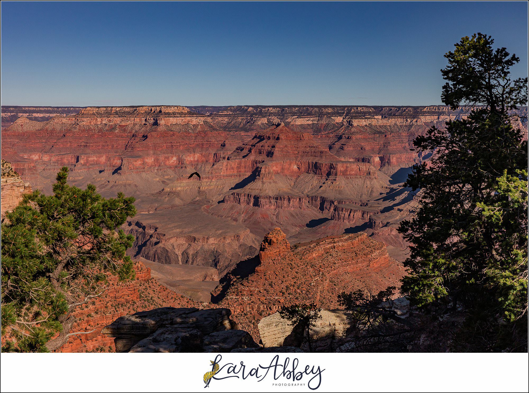 The Grand Canyon with the Adventuring Abbeys Family Vlog