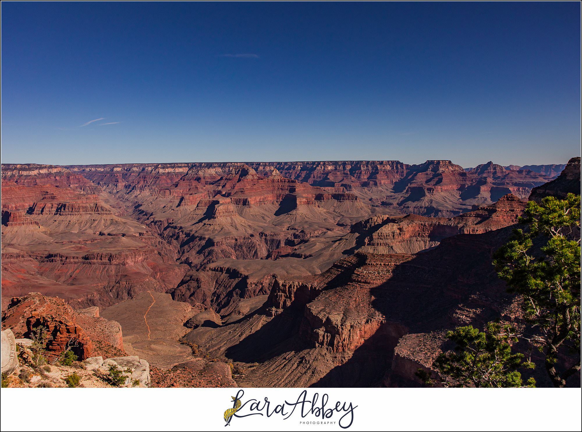 The Grand Canyon with the Adventuring Abbeys Family Vlog