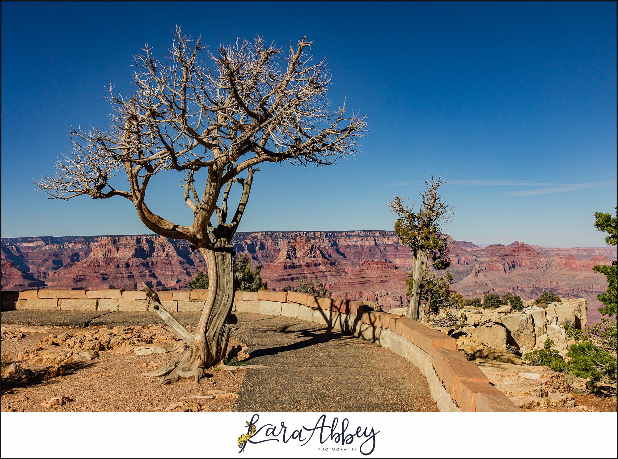 The Grand Canyon with the Adventuring Abbeys Family Vlog