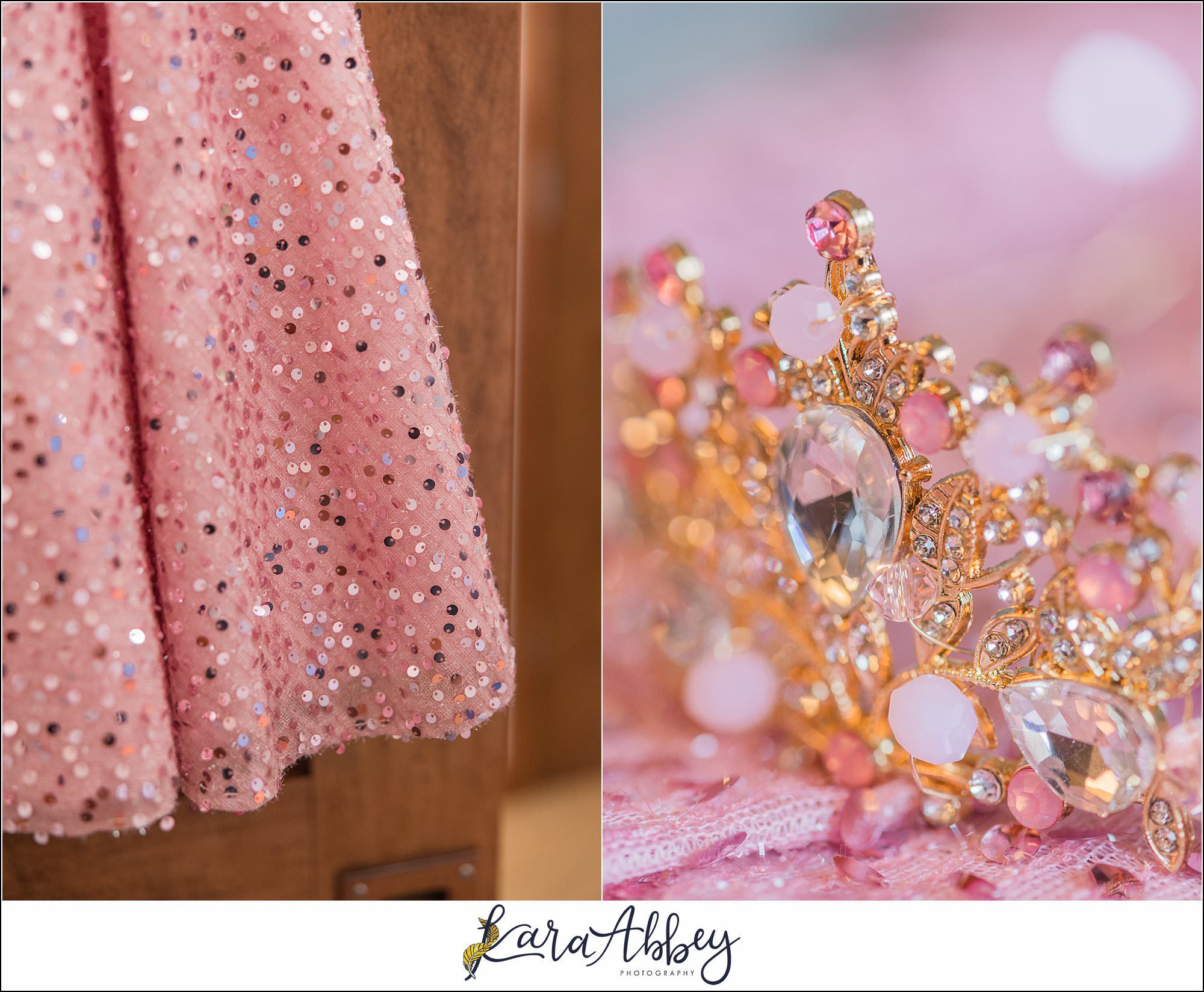 Rose's Bat Mitzvah Celebration in Pittsburgh, PA