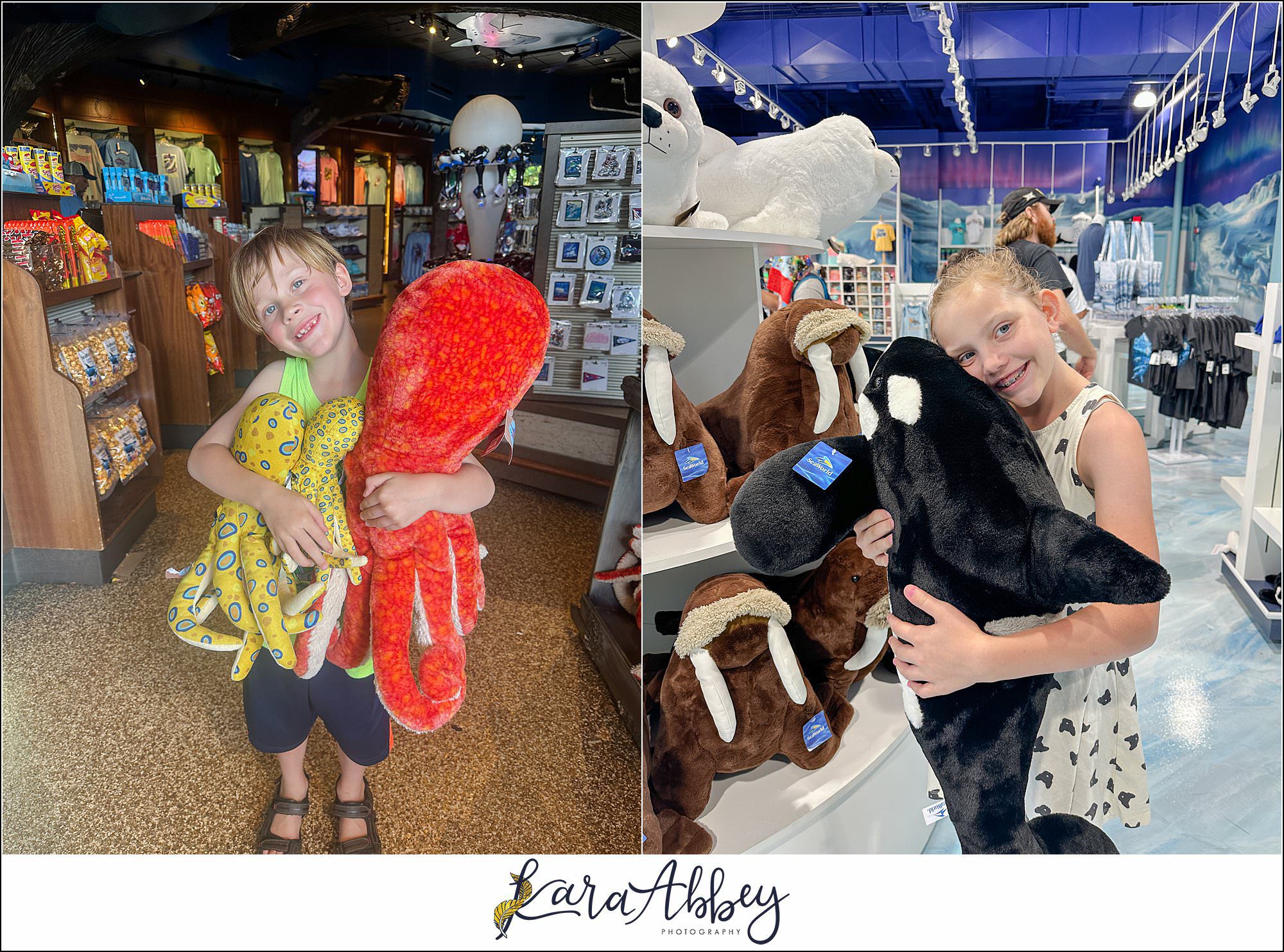 A Day At Sea World Orlando The Adventuring Abbeys Family Vlog