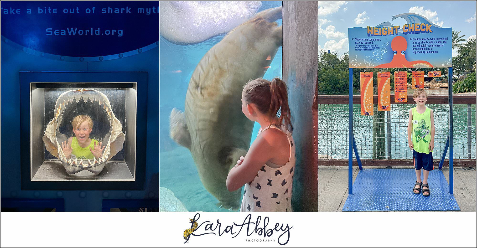 A Day At Sea World Orlando The Adventuring Abbeys Family Vlog