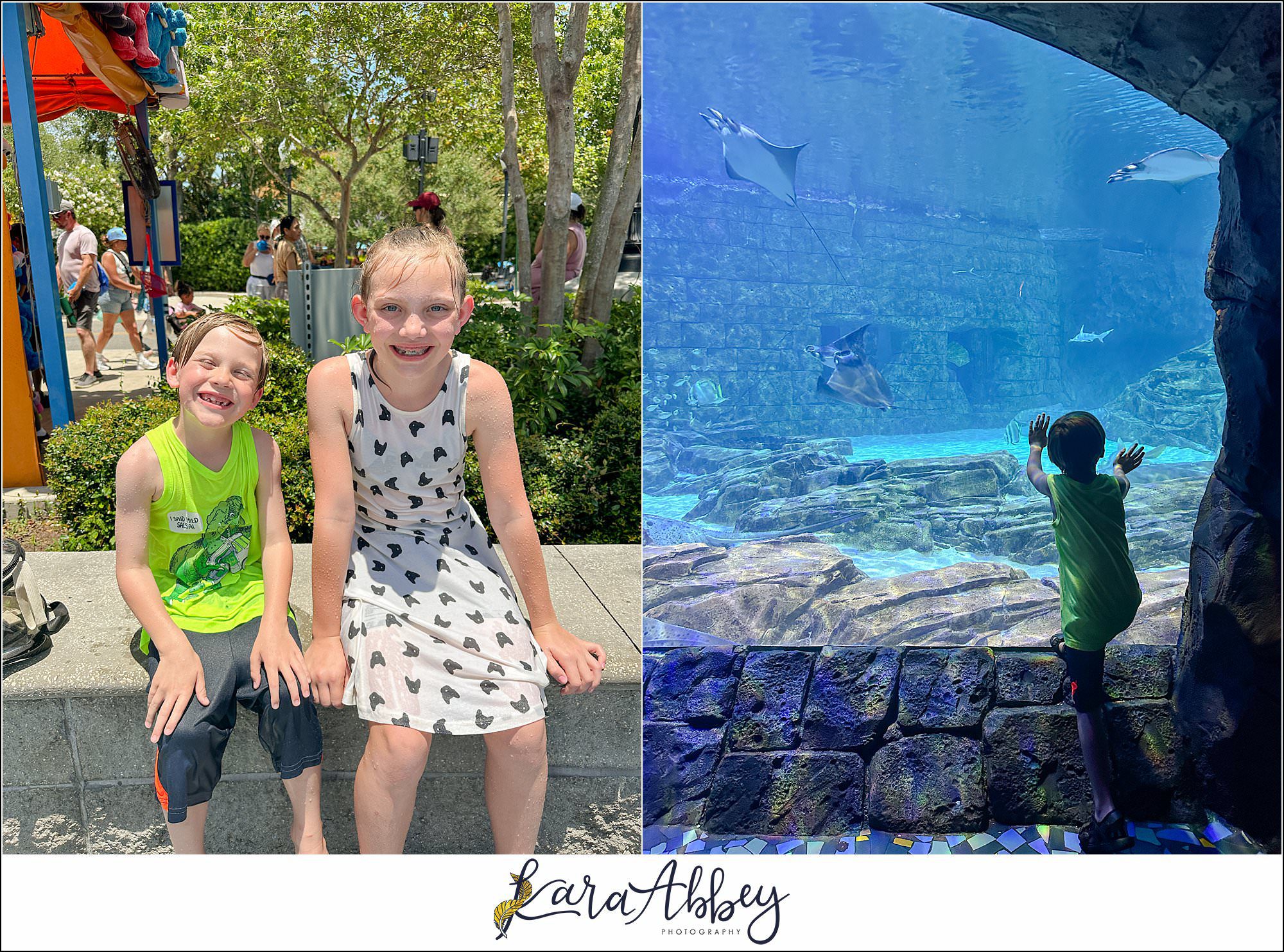 A Day At Sea World Orlando The Adventuring Abbeys Family Vlog