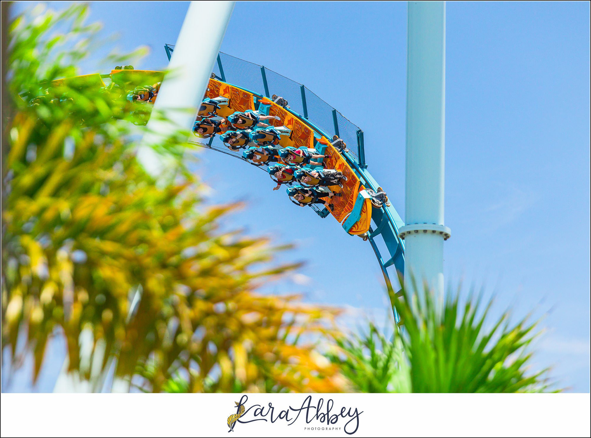 A Day At Sea World Orlando The Adventuring Abbeys Family Vlog