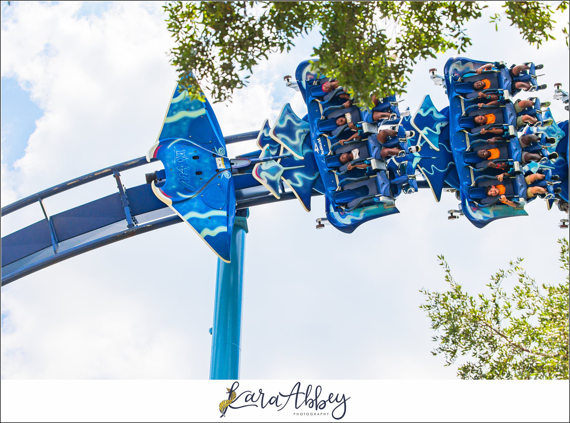 A Day At Sea World Orlando The Adventuring Abbeys Family Vlog