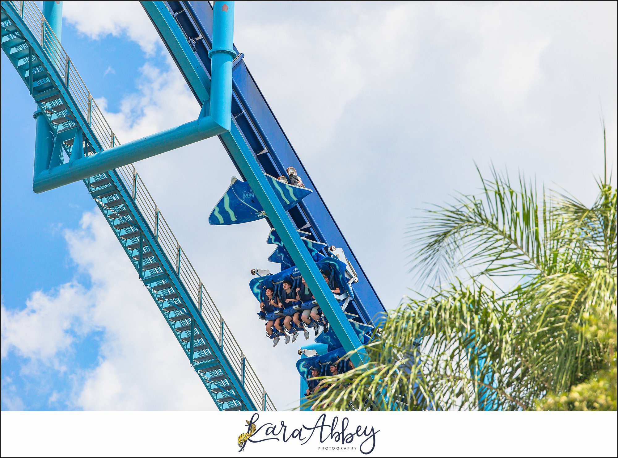 A Day At Sea World Orlando The Adventuring Abbeys Family Vlog