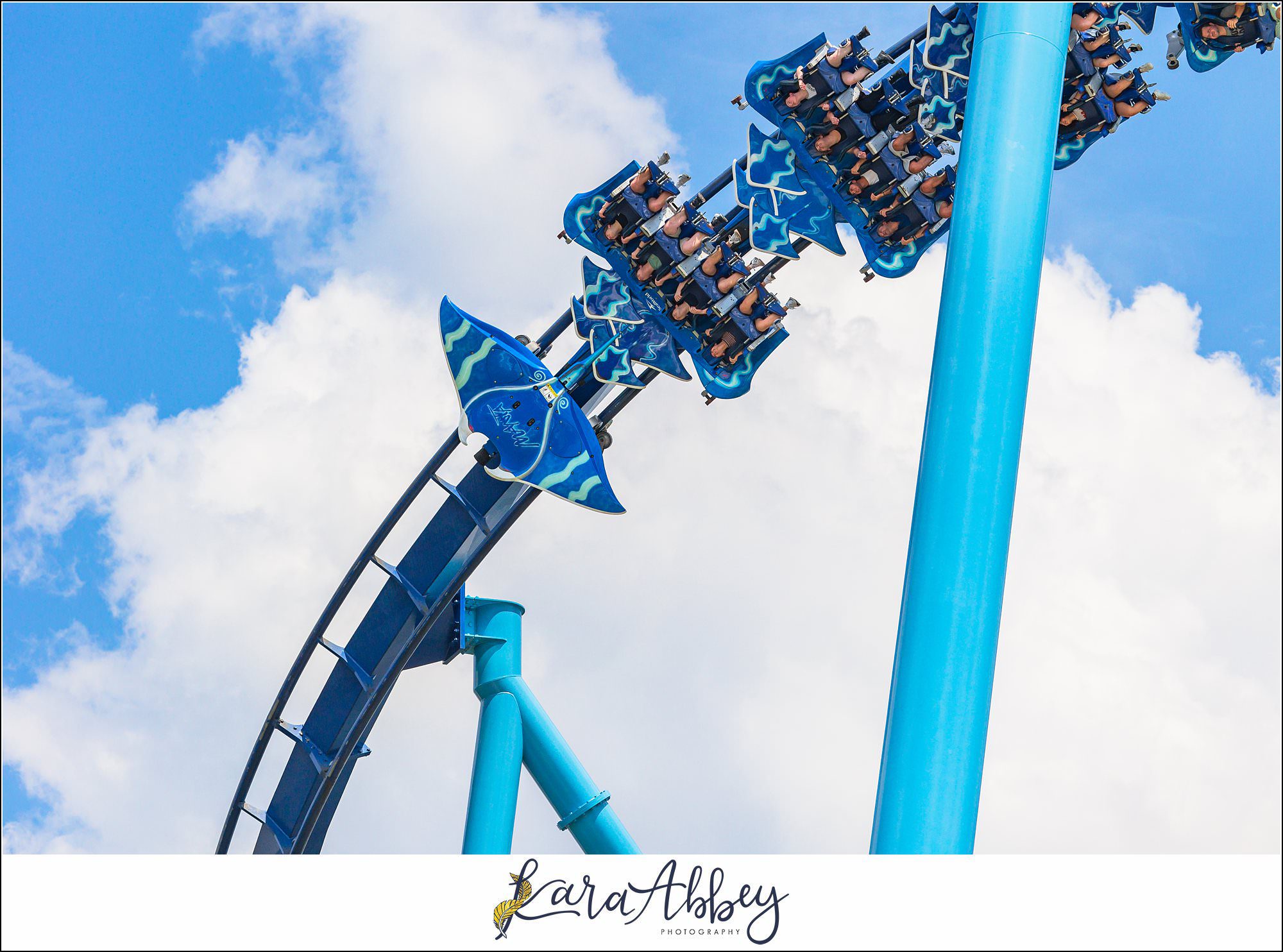 A Day At Sea World Orlando The Adventuring Abbeys Family Vlog
