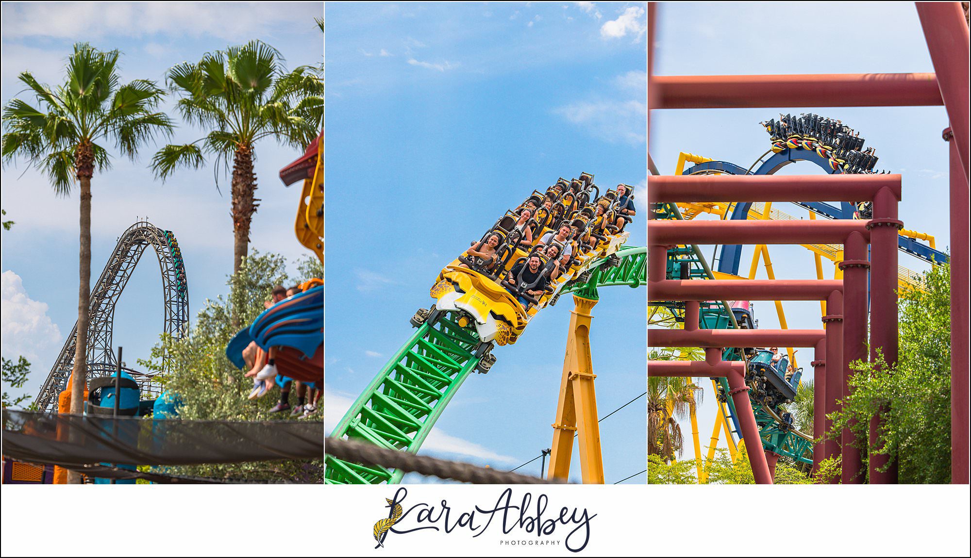 The Adventuring Abbeys go to Busch Gardens Tampa