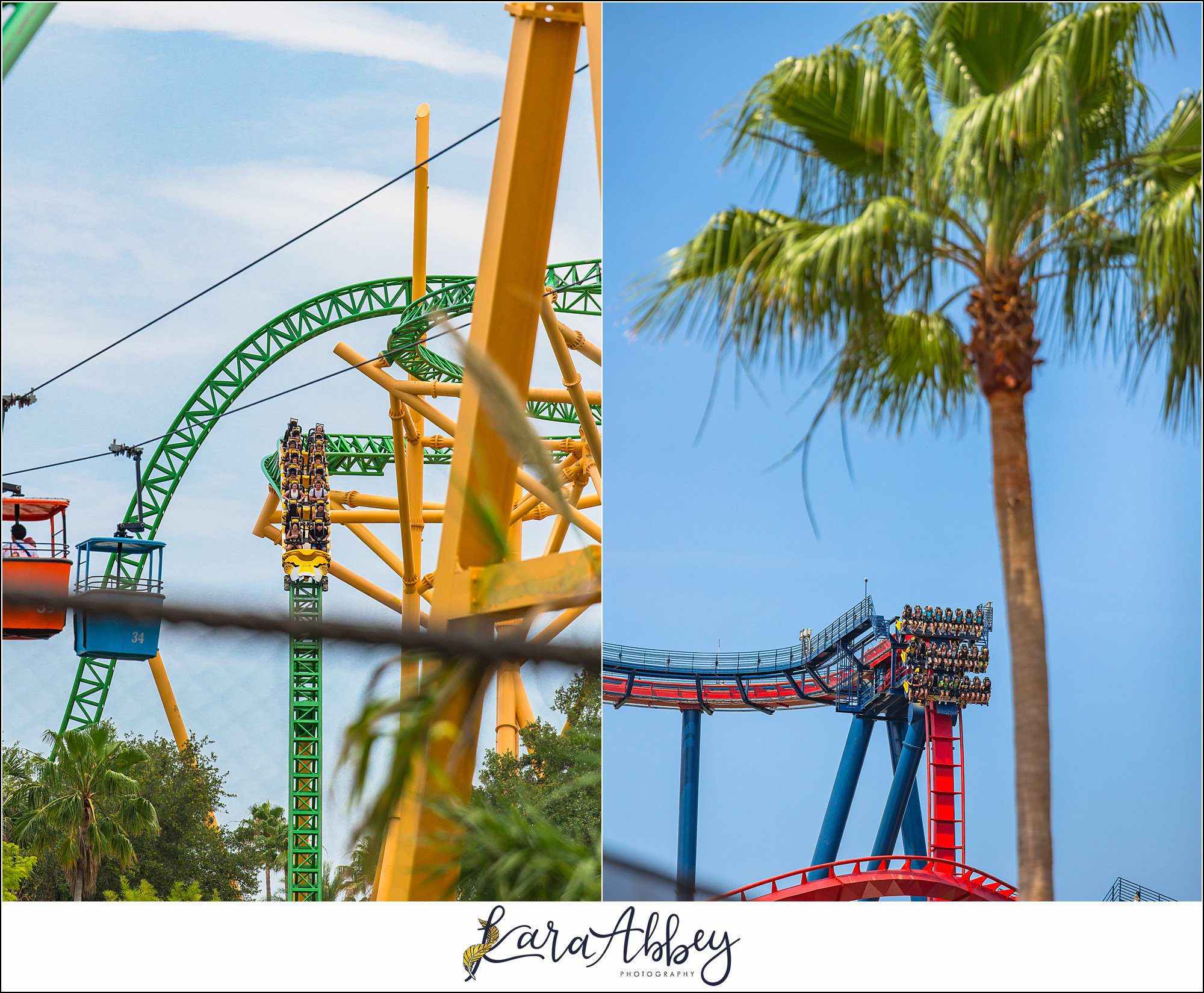 The Adventuring Abbeys go to Busch Gardens Tampa