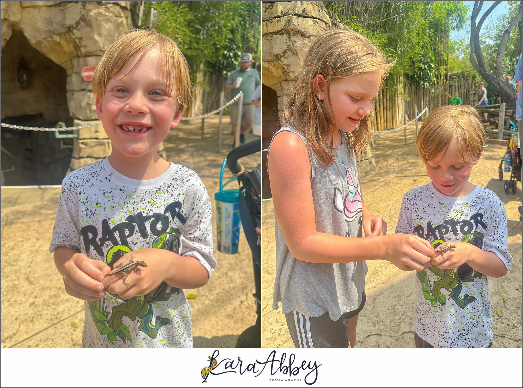 The Adventuring Abbeys go to Busch Gardens Tampa
