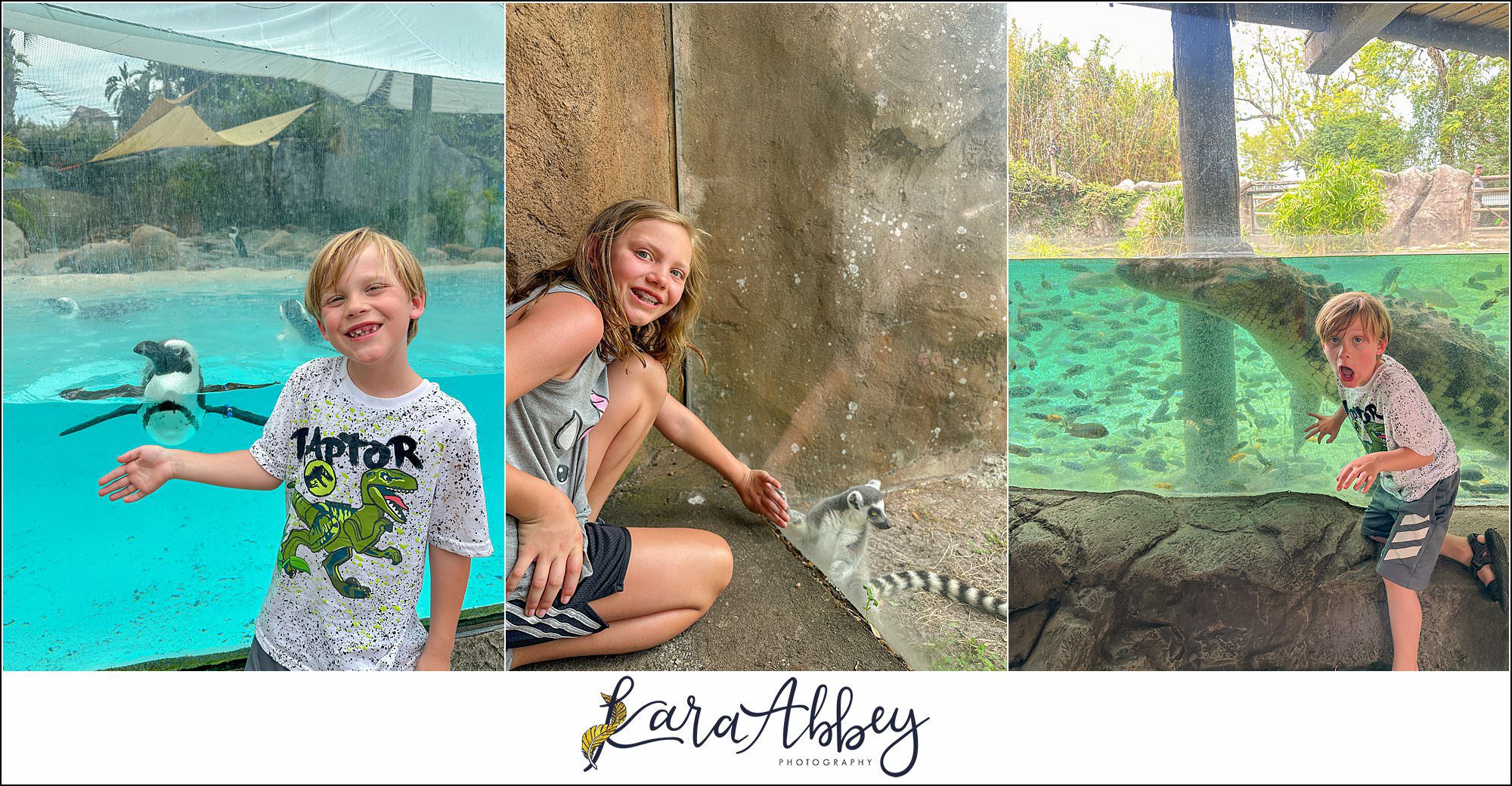 The Adventuring Abbeys go to Busch Gardens Tampa