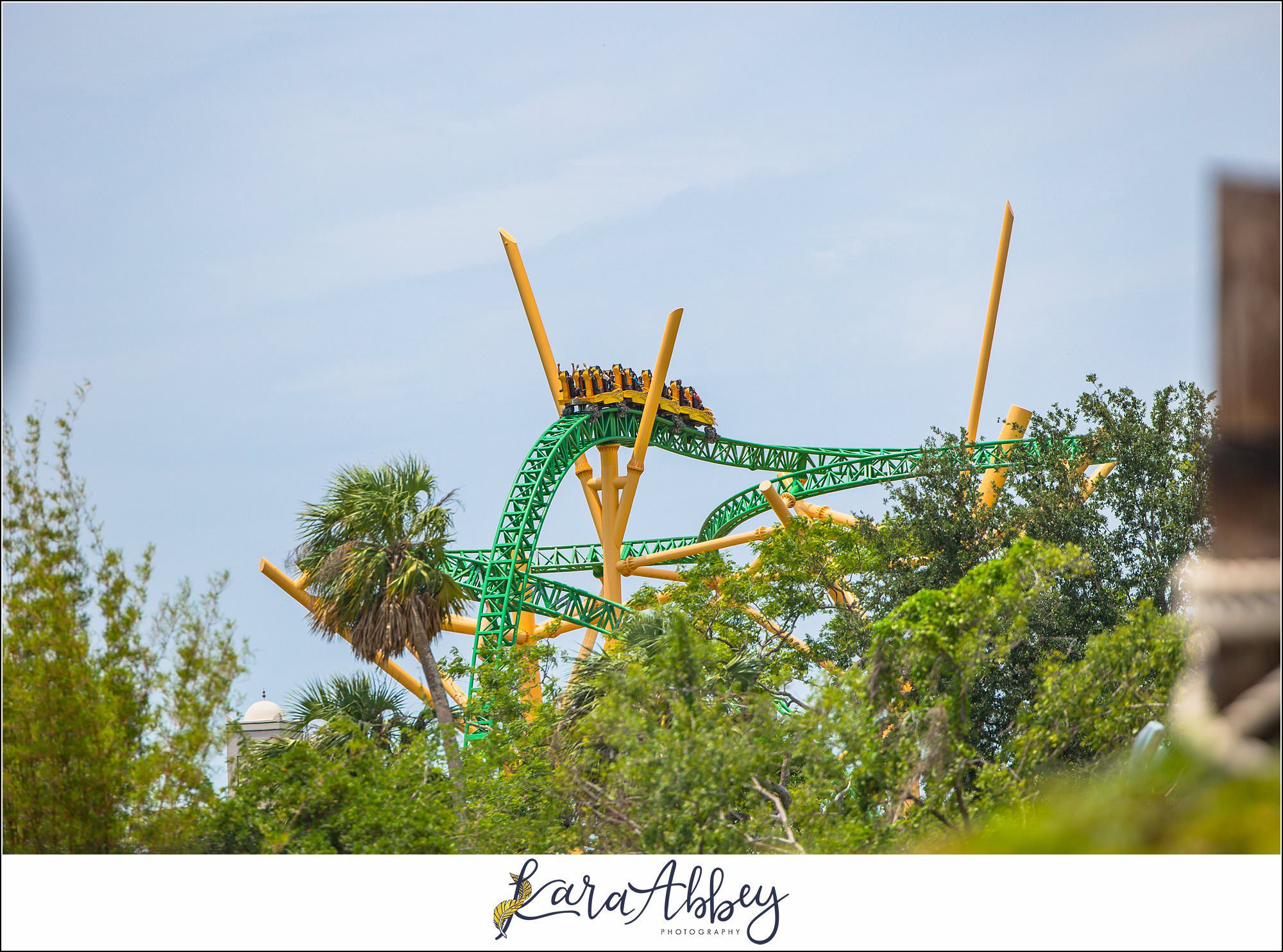 The Adventuring Abbeys go to Busch Gardens Tampa